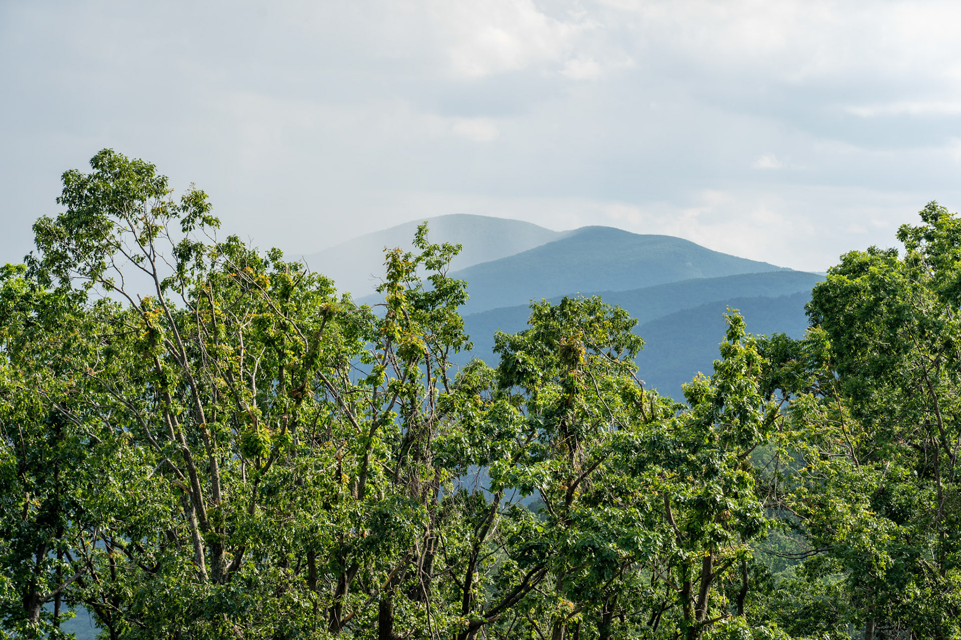 Blue Ridge Rest Stop, Afton, VA. 2019.