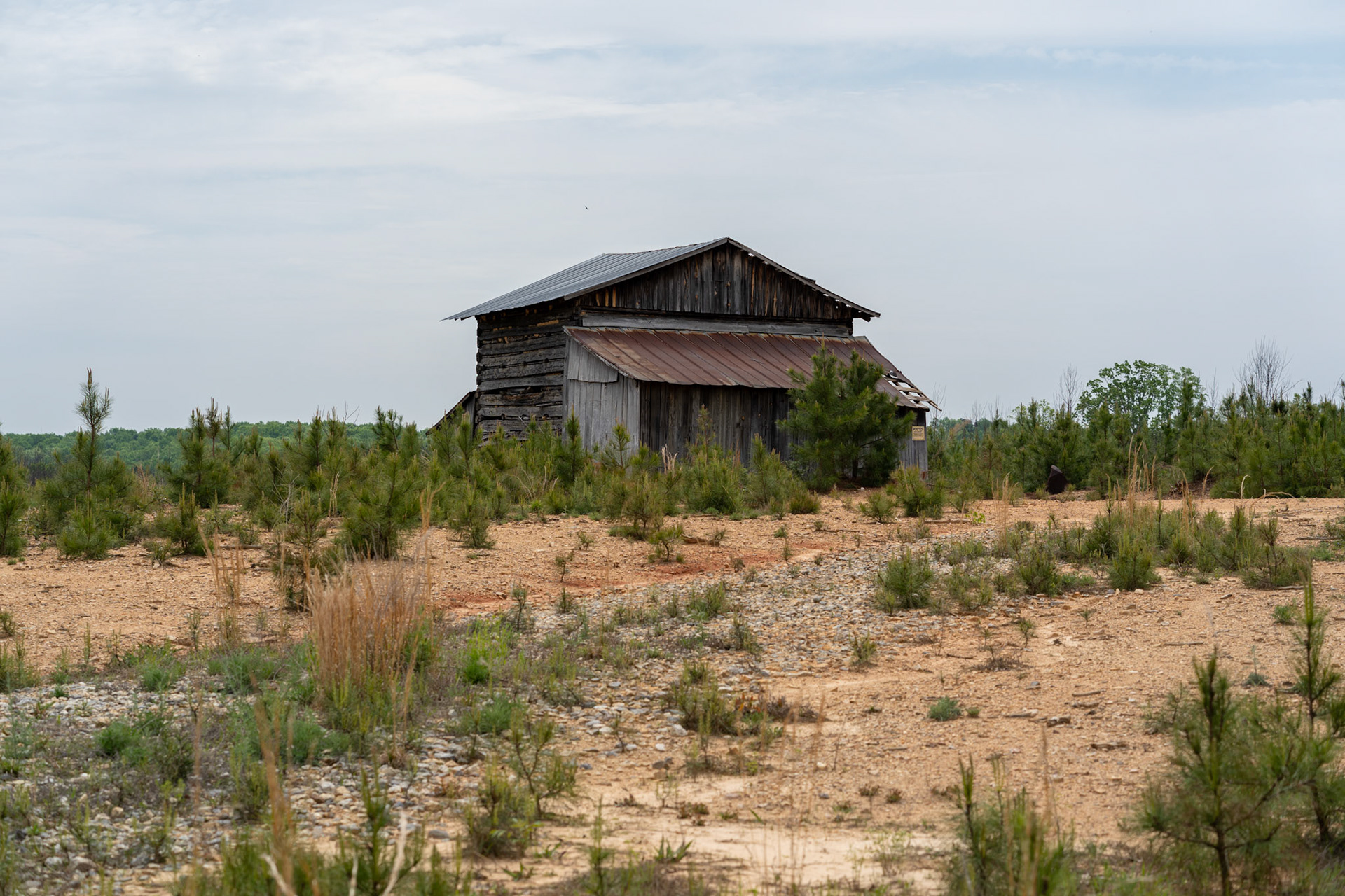 US 15, Unknown Location, VA. 2019.