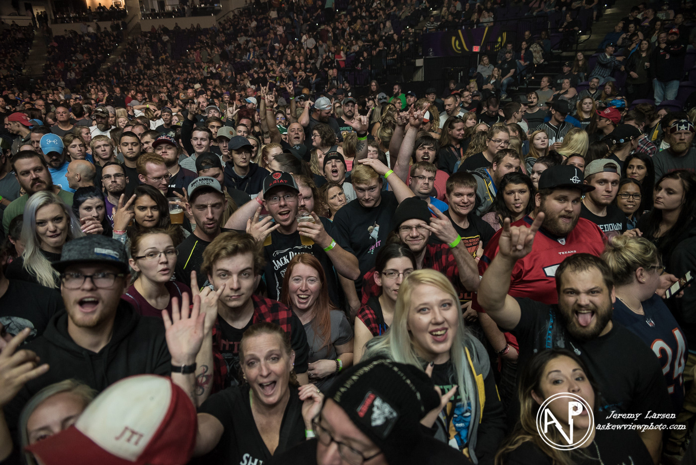 Crowd for Shinedown