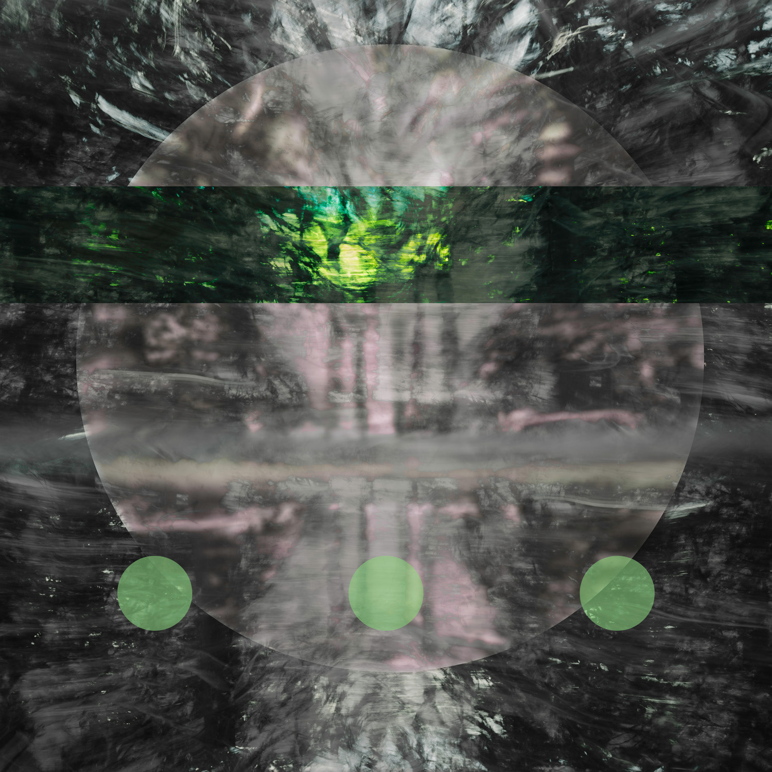 Images By Suzanne Goodwin - "What A Difference A Day Makes"