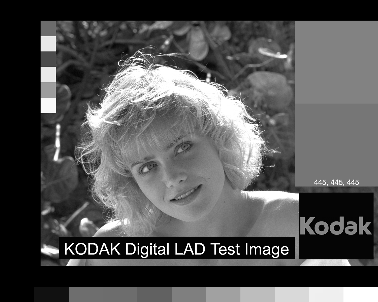 Adobe Monochrome