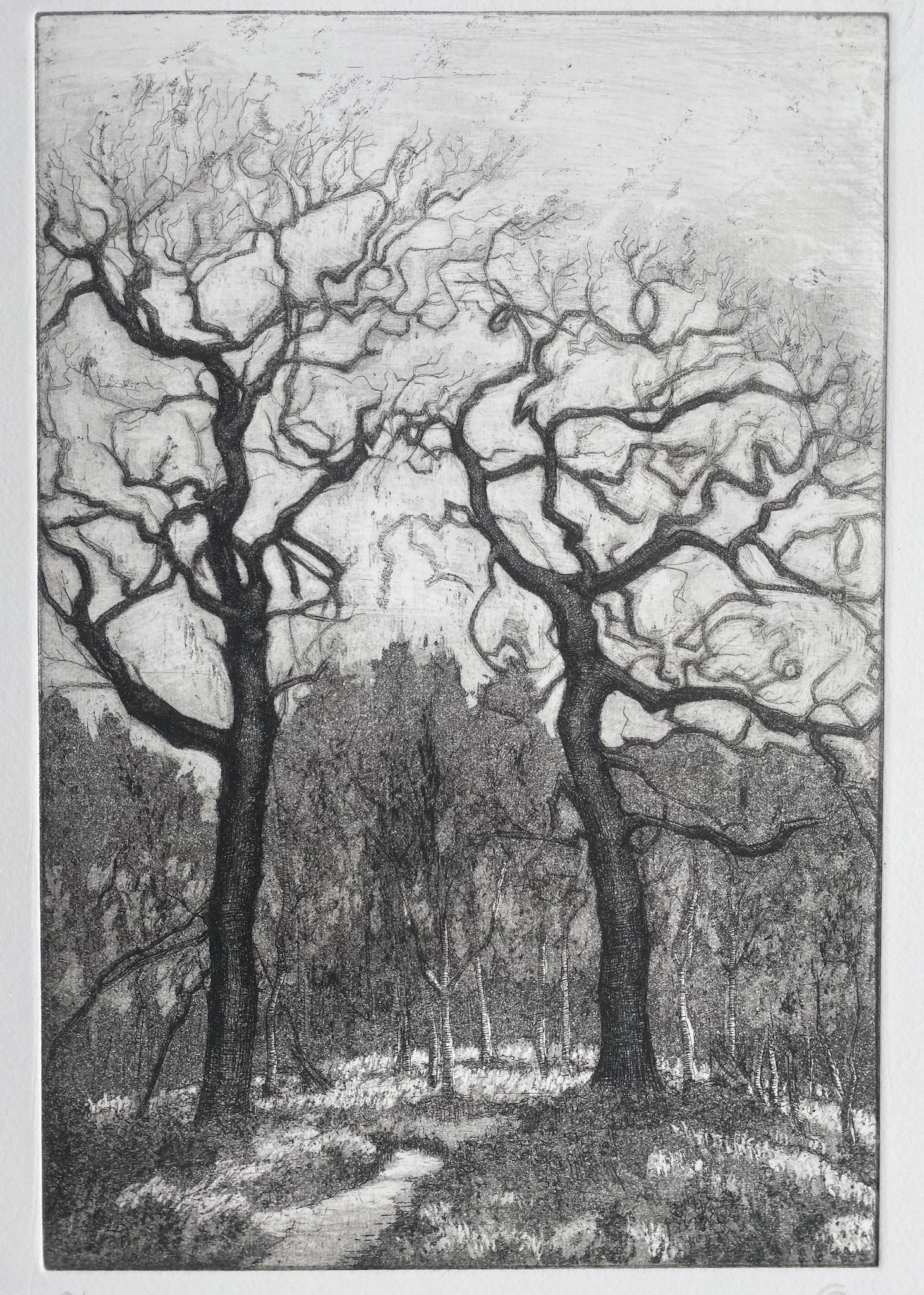 Unique print 1 of 24