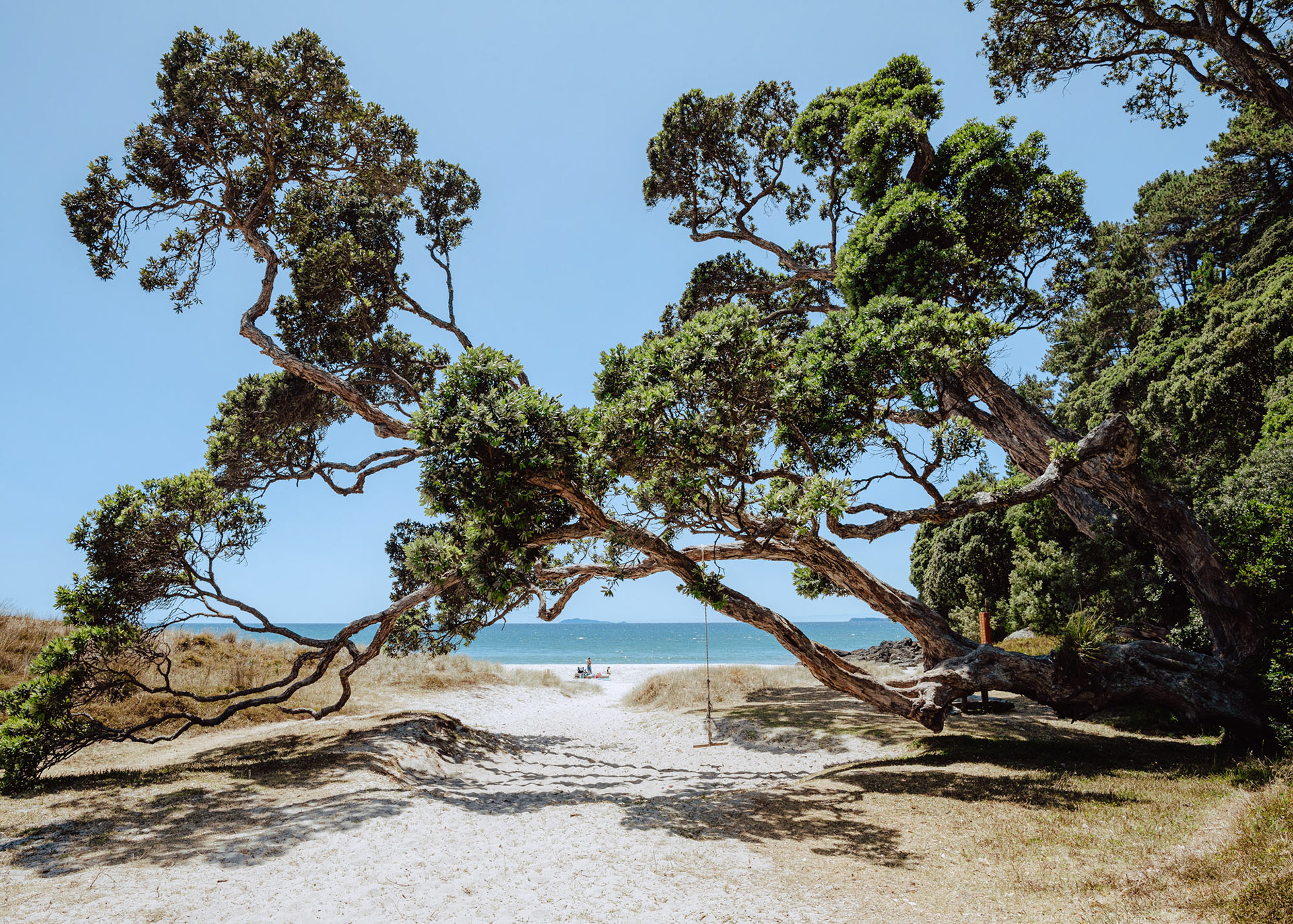 Whangapoua, Coromandel