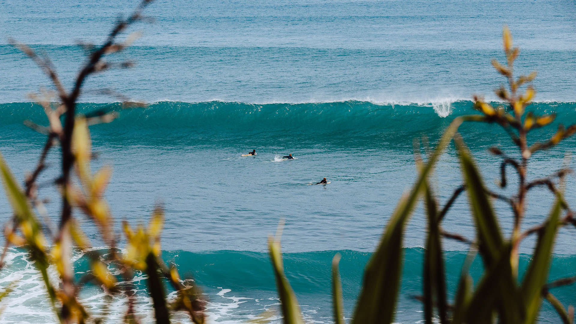 Surfers in the waves at Blacks Beach, Mahia