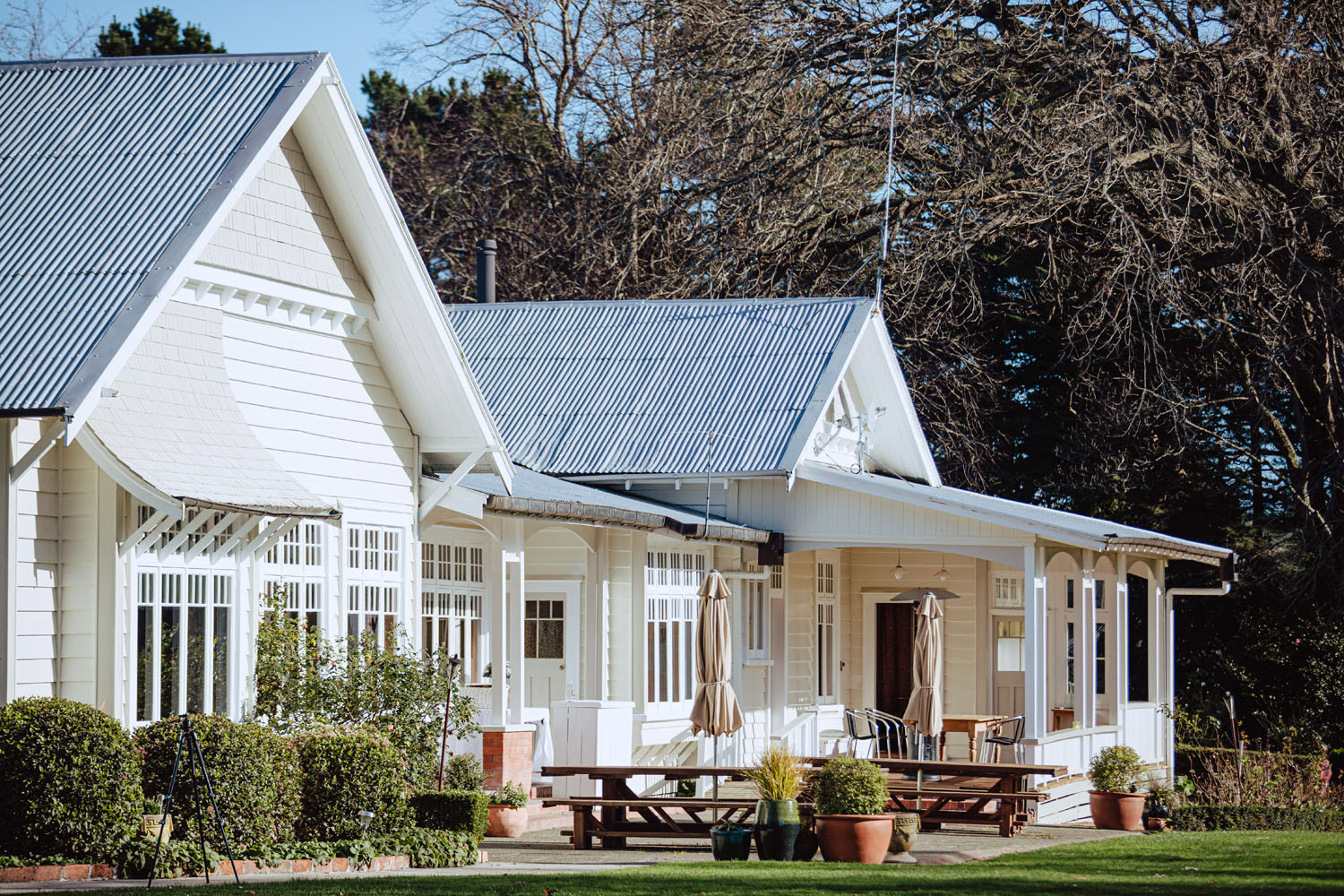 A sunlight bathed view of Wallingford Homestead