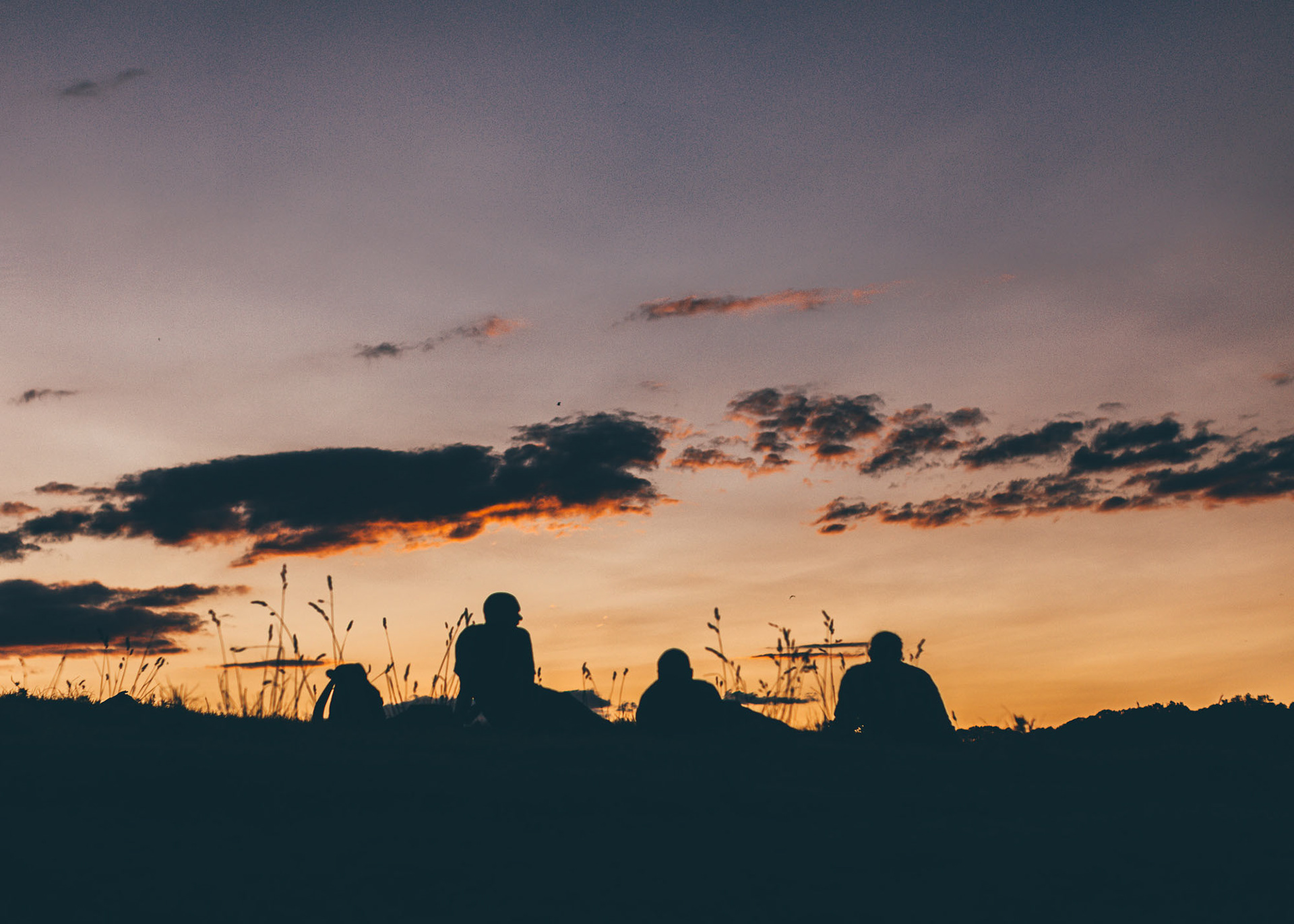 A group of people sitting on a hill overlooking Hahei beach at sunset