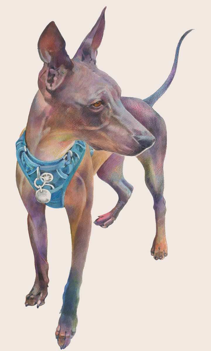 Elliot