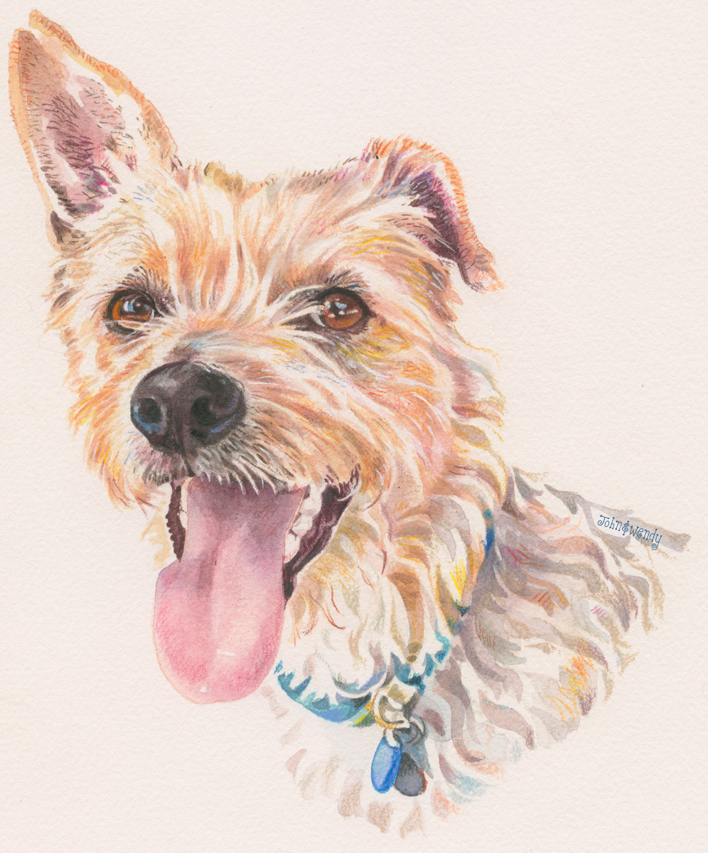 Ringo
