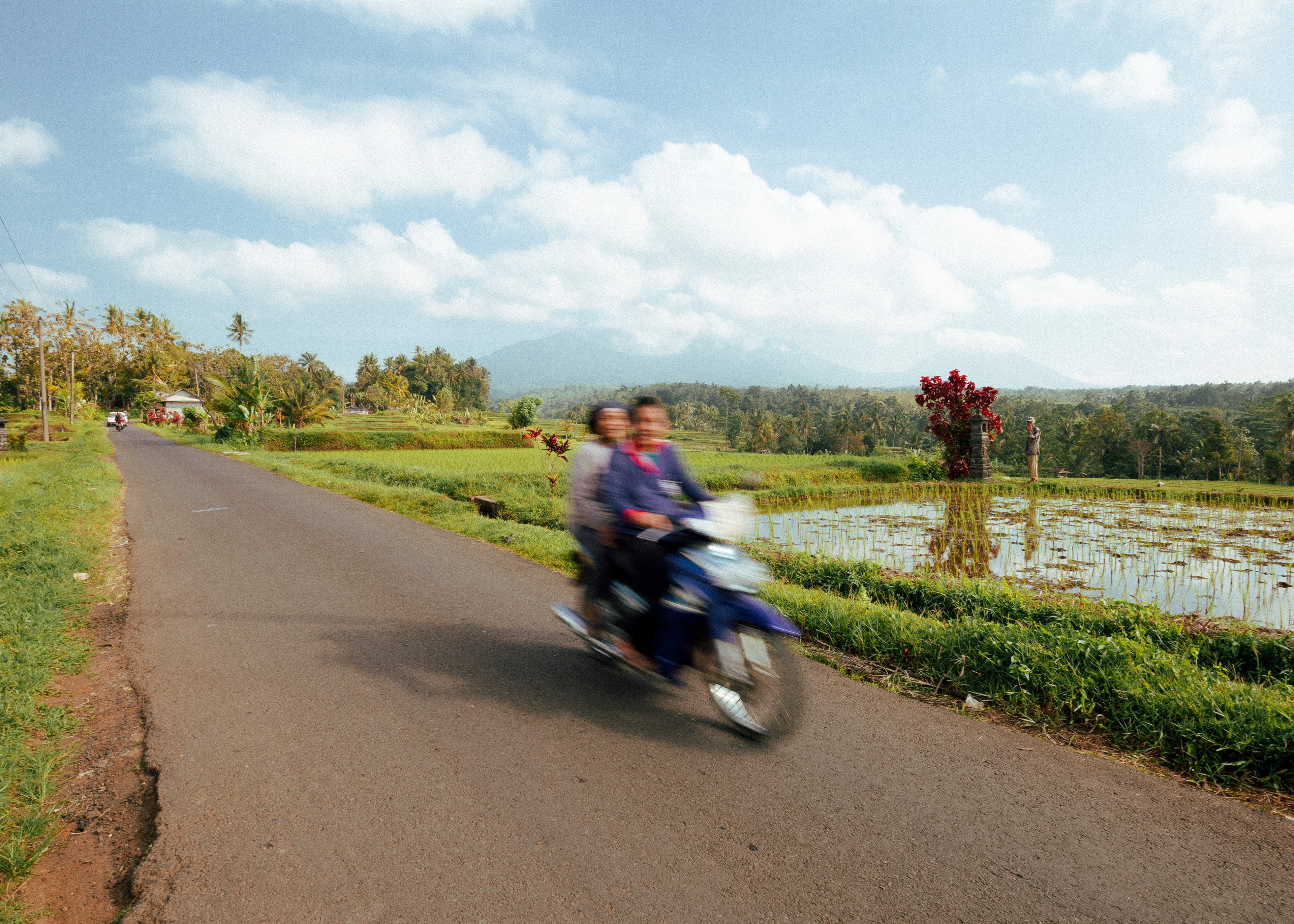 BALI - 2018