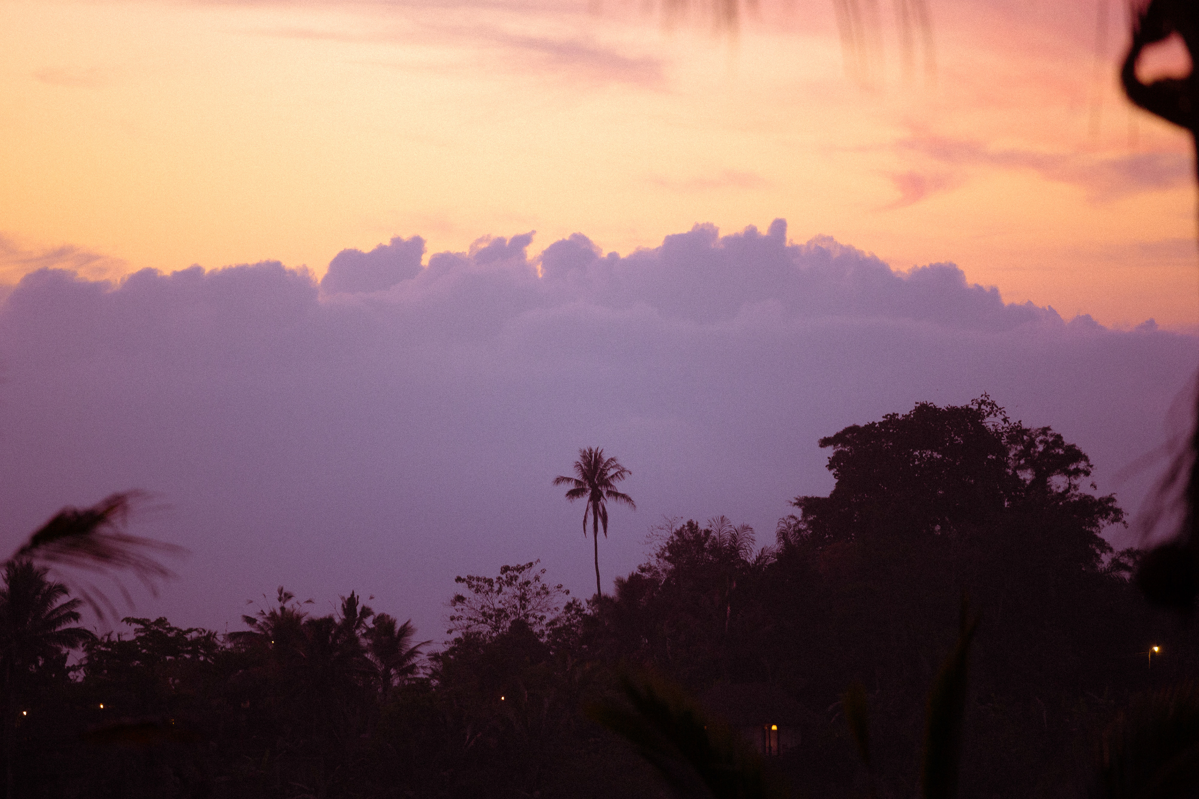 BALI - 2018
