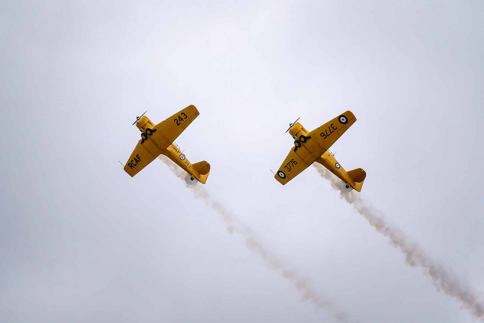 Yellow Thunder - Harvard