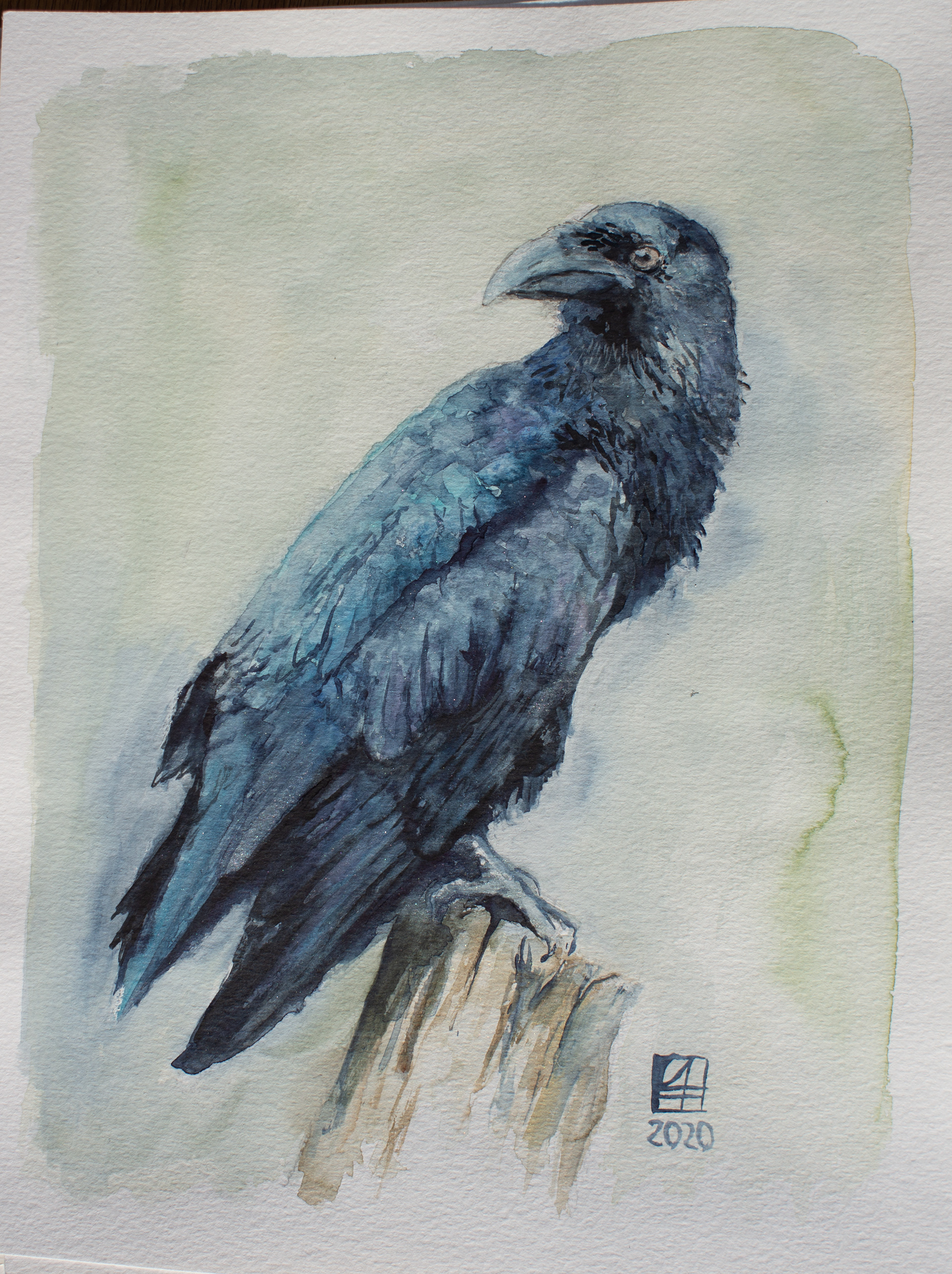 Krähe I (30x40)