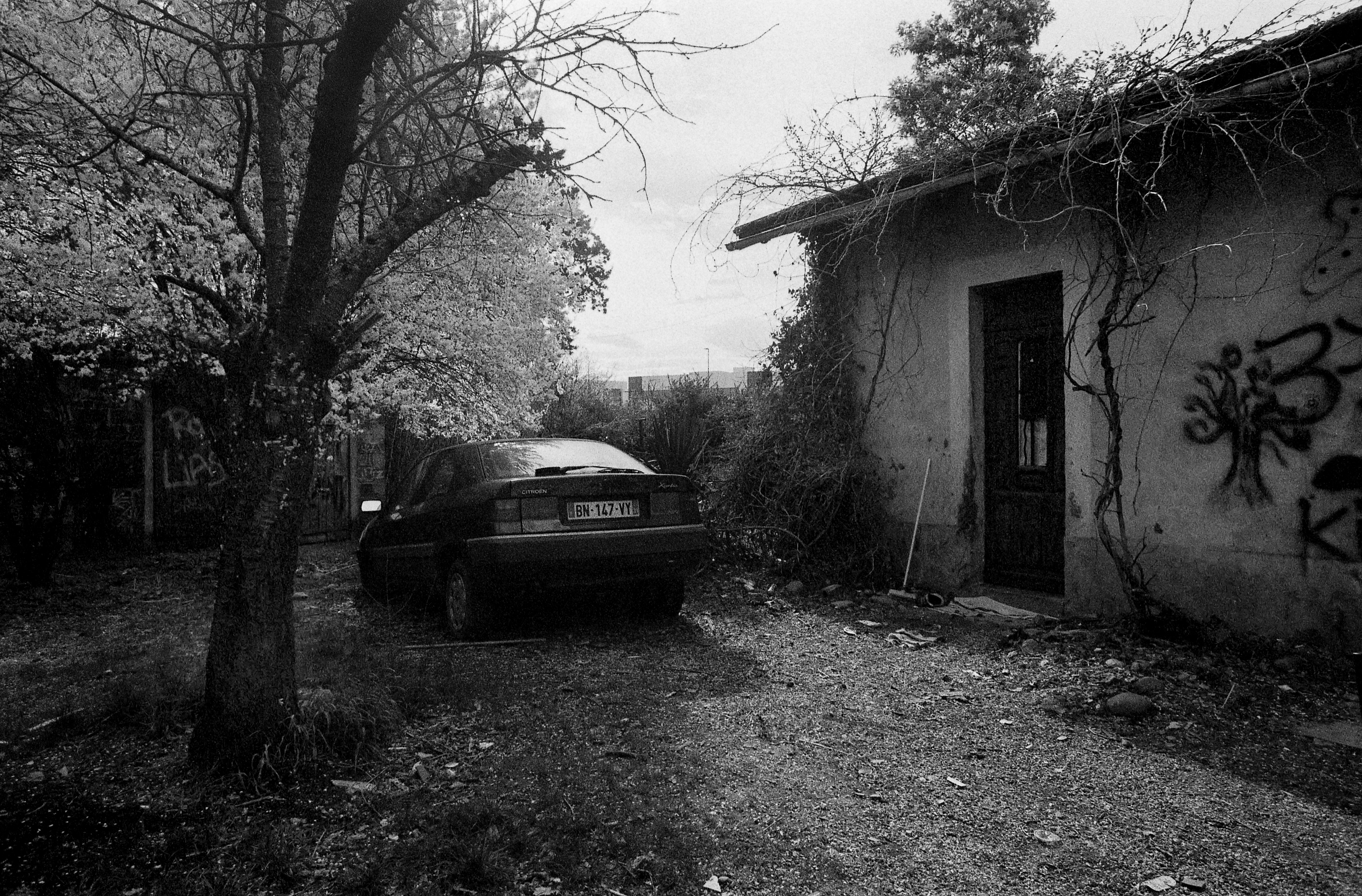Quand Vient La Peur - Partie 2 Adrien Ribet - Quand vient le jour, partie 2