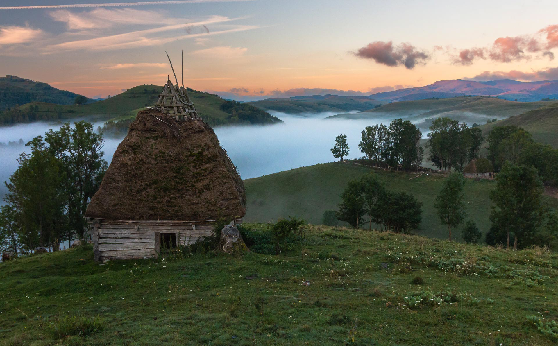 Dumești