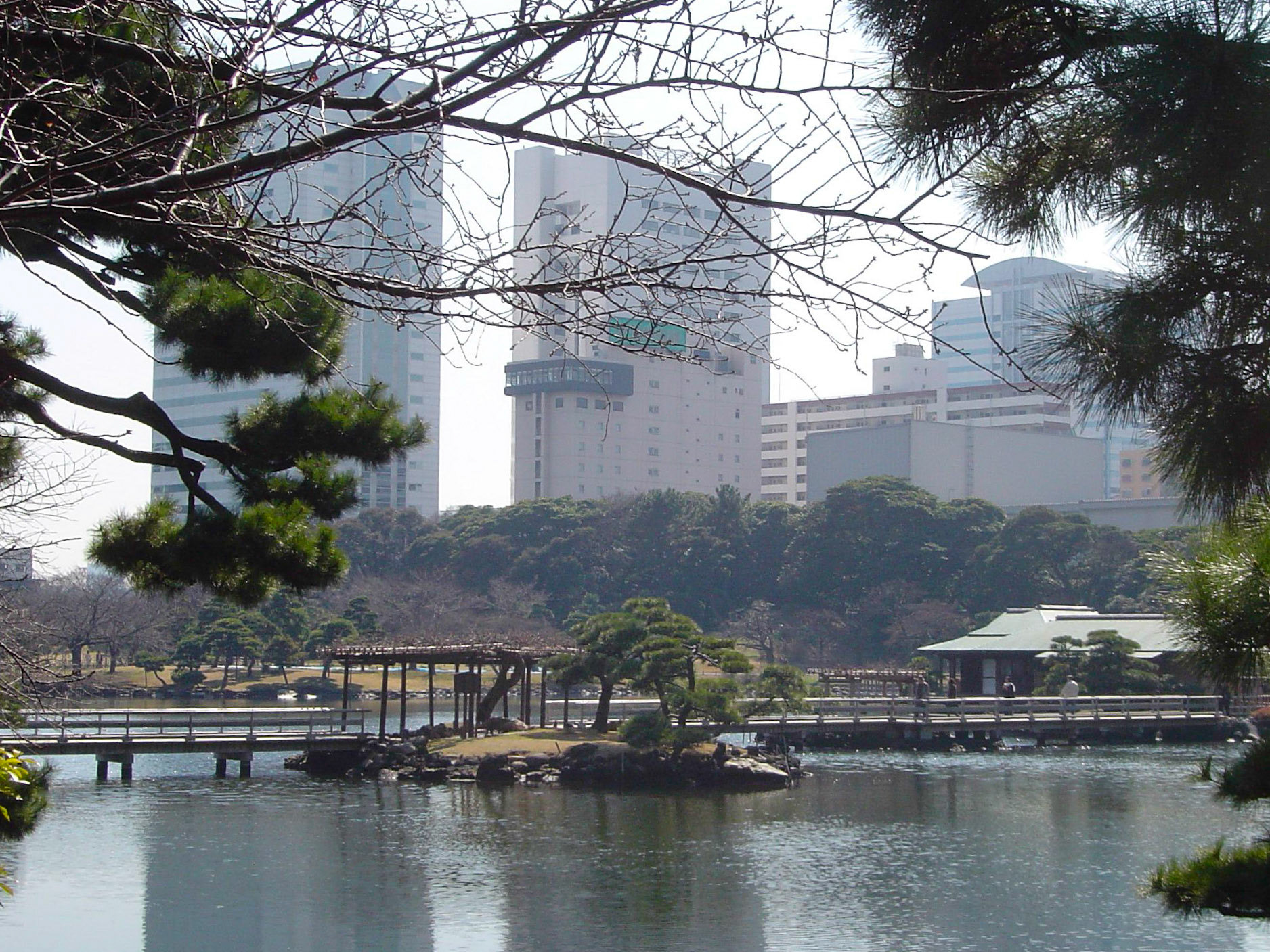 SONY DSC