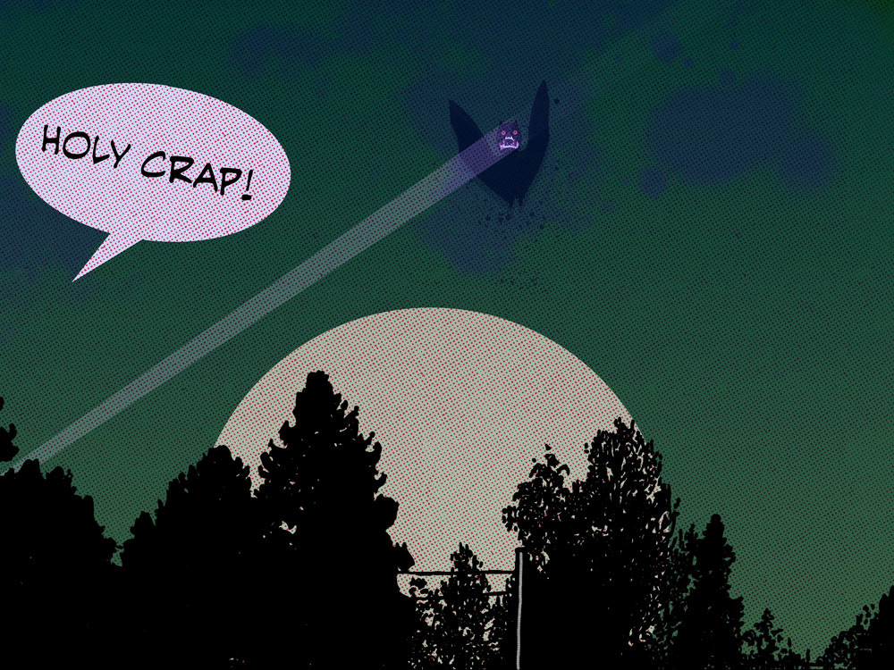 Holy bat! / 2020