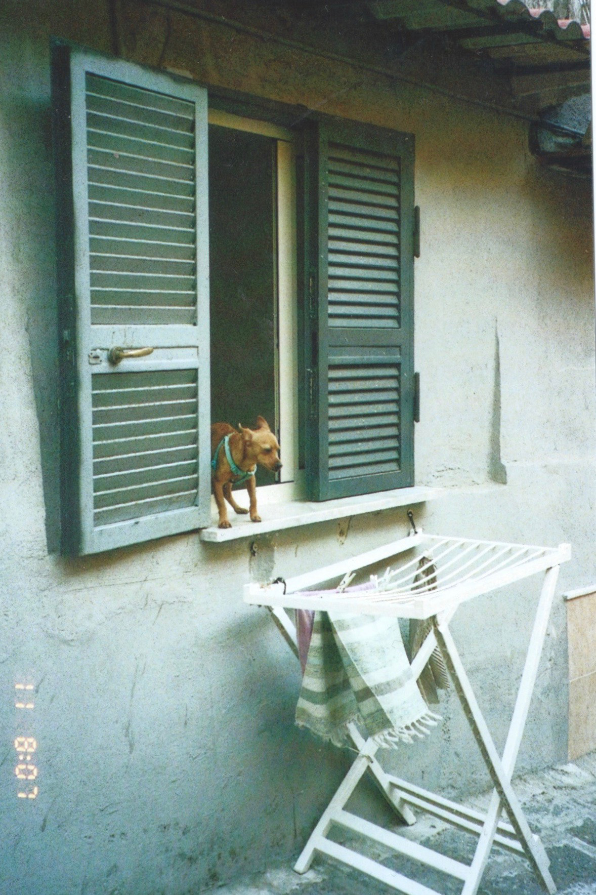 NAPLES