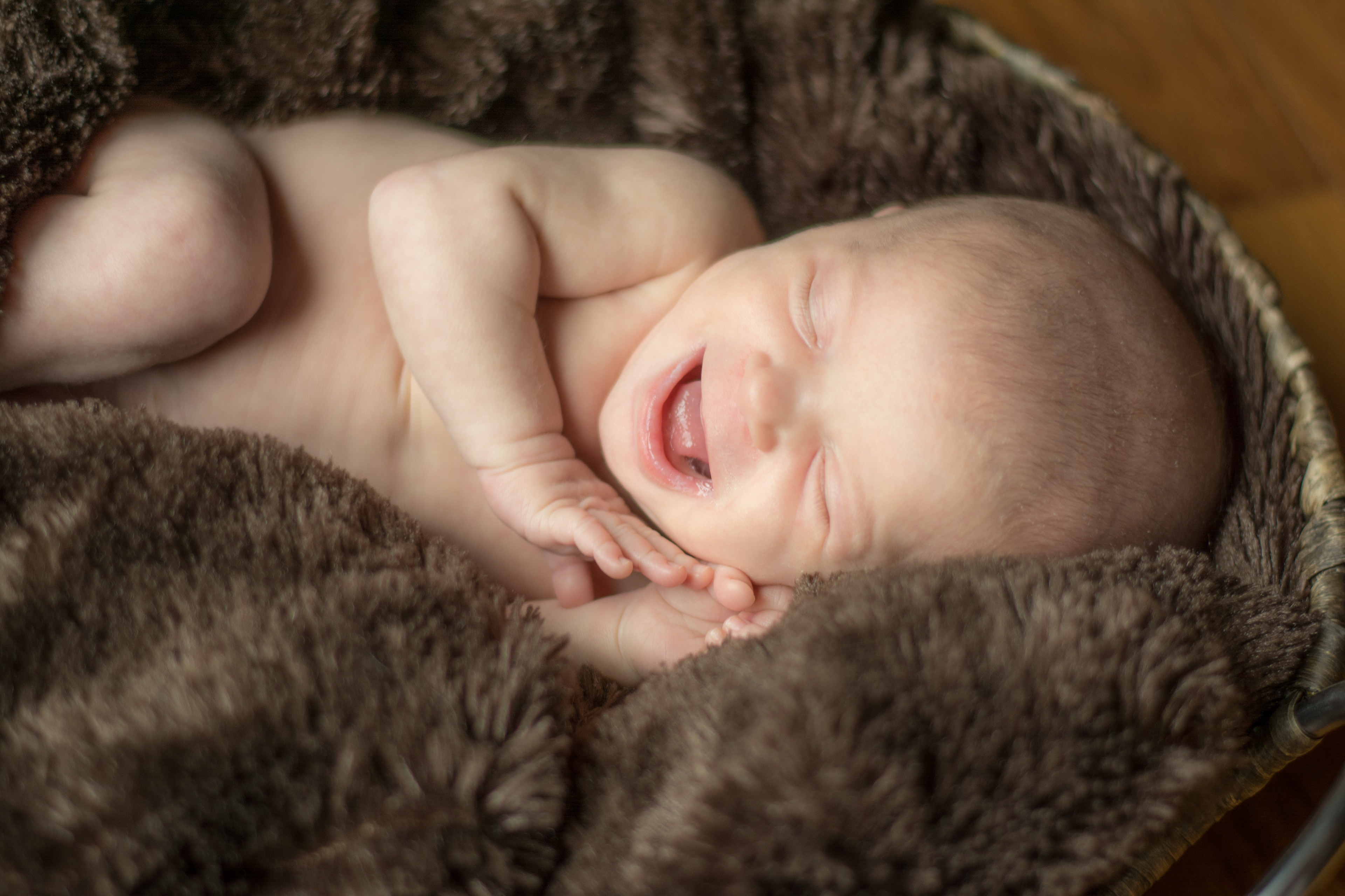 Newborn Portrait