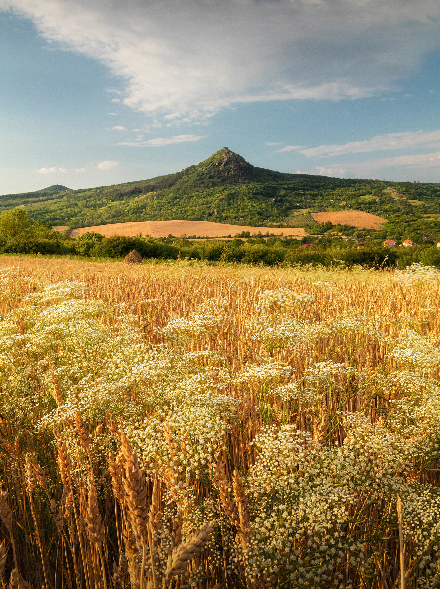 Trebenice, Ceske stredohori