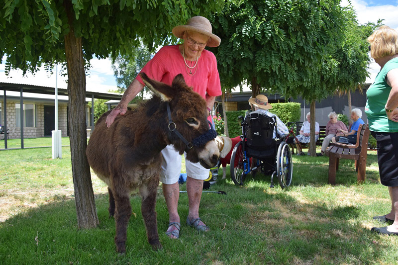 Residents were thrilled by Happy Hooves visit