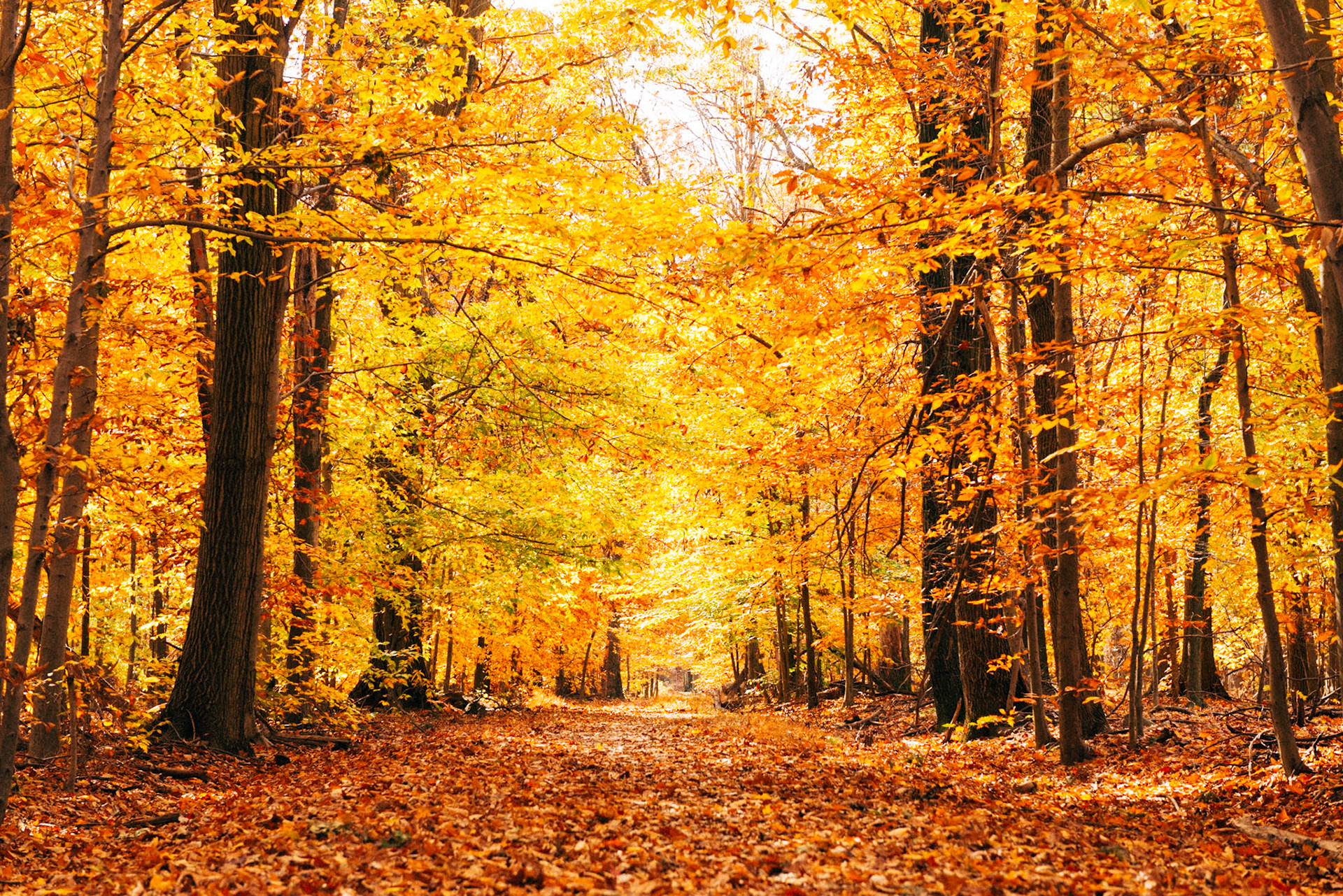 She Asked Me Where I'm From