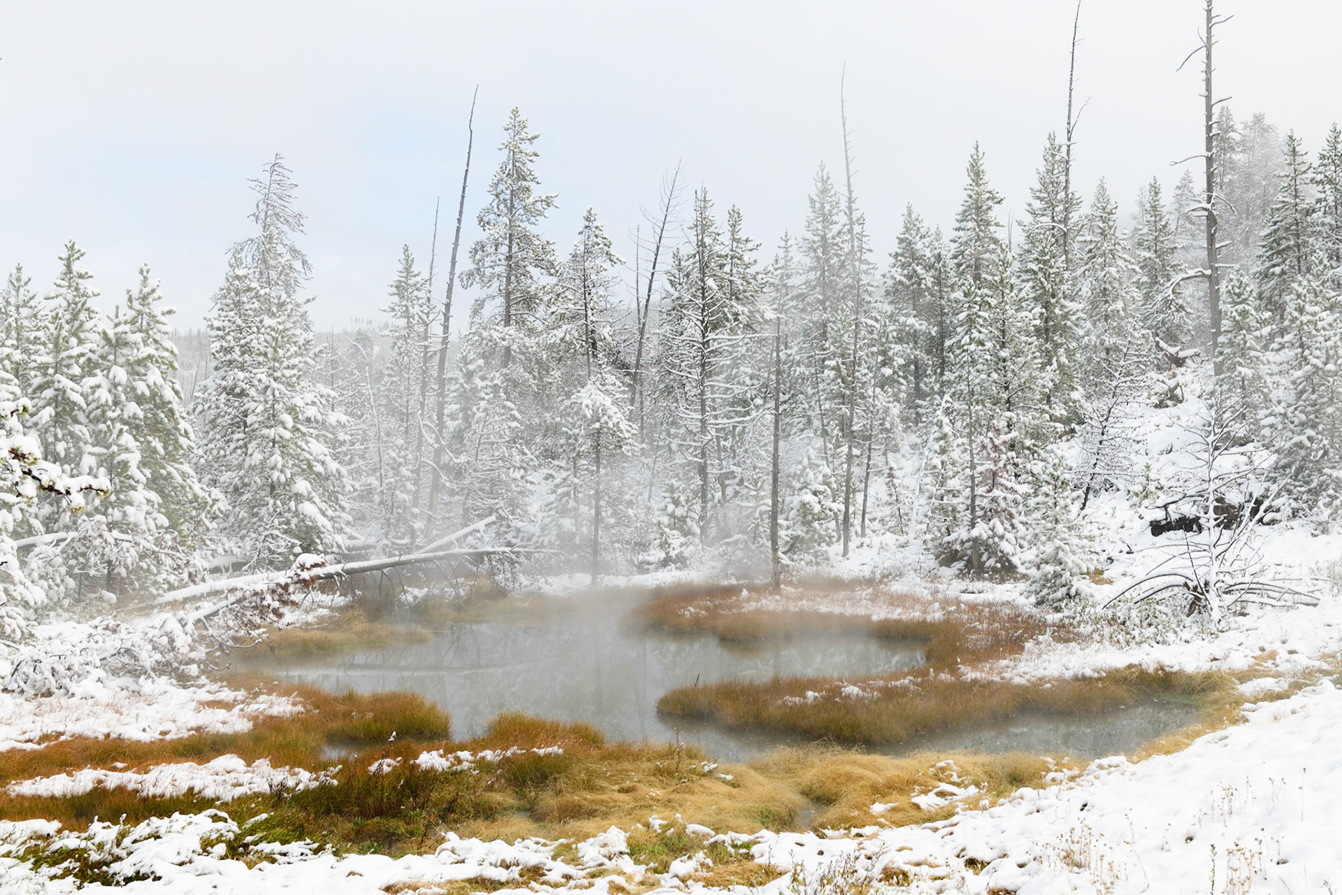 Artist Paint Pots Trail