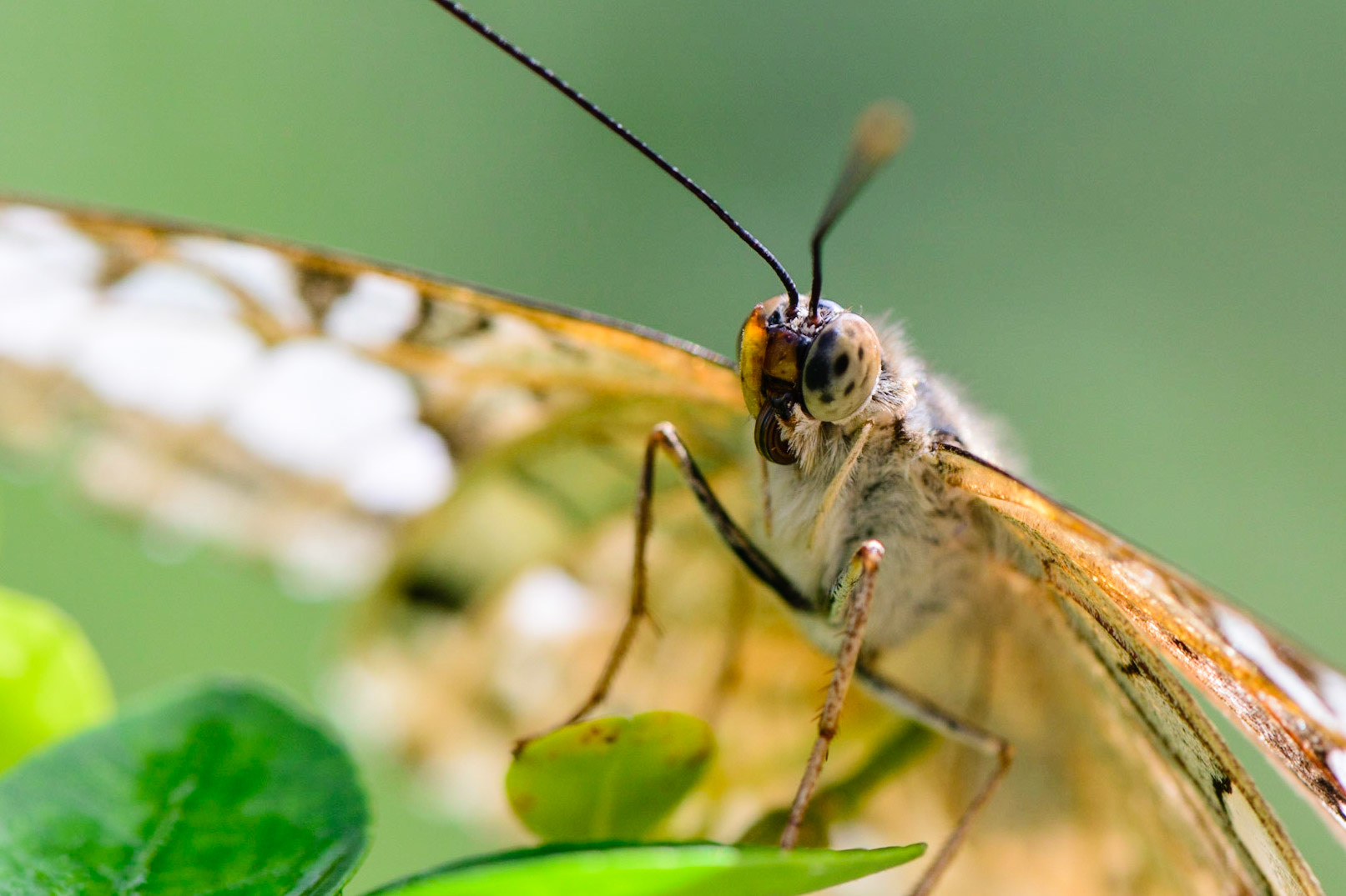 Ready for my close up