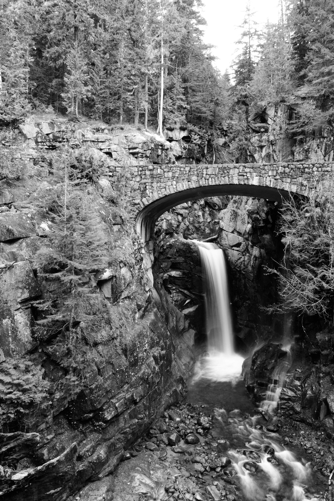 Christine Falls