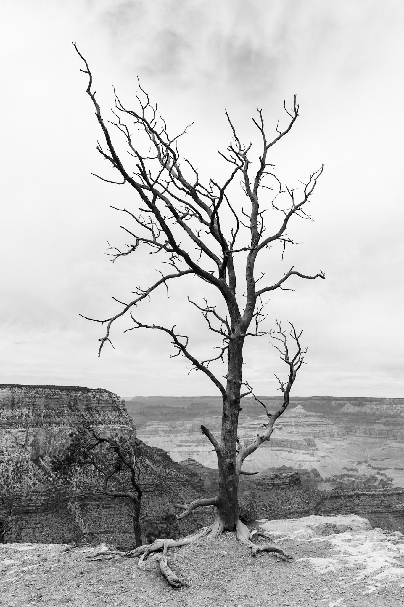 She asked me to wait here