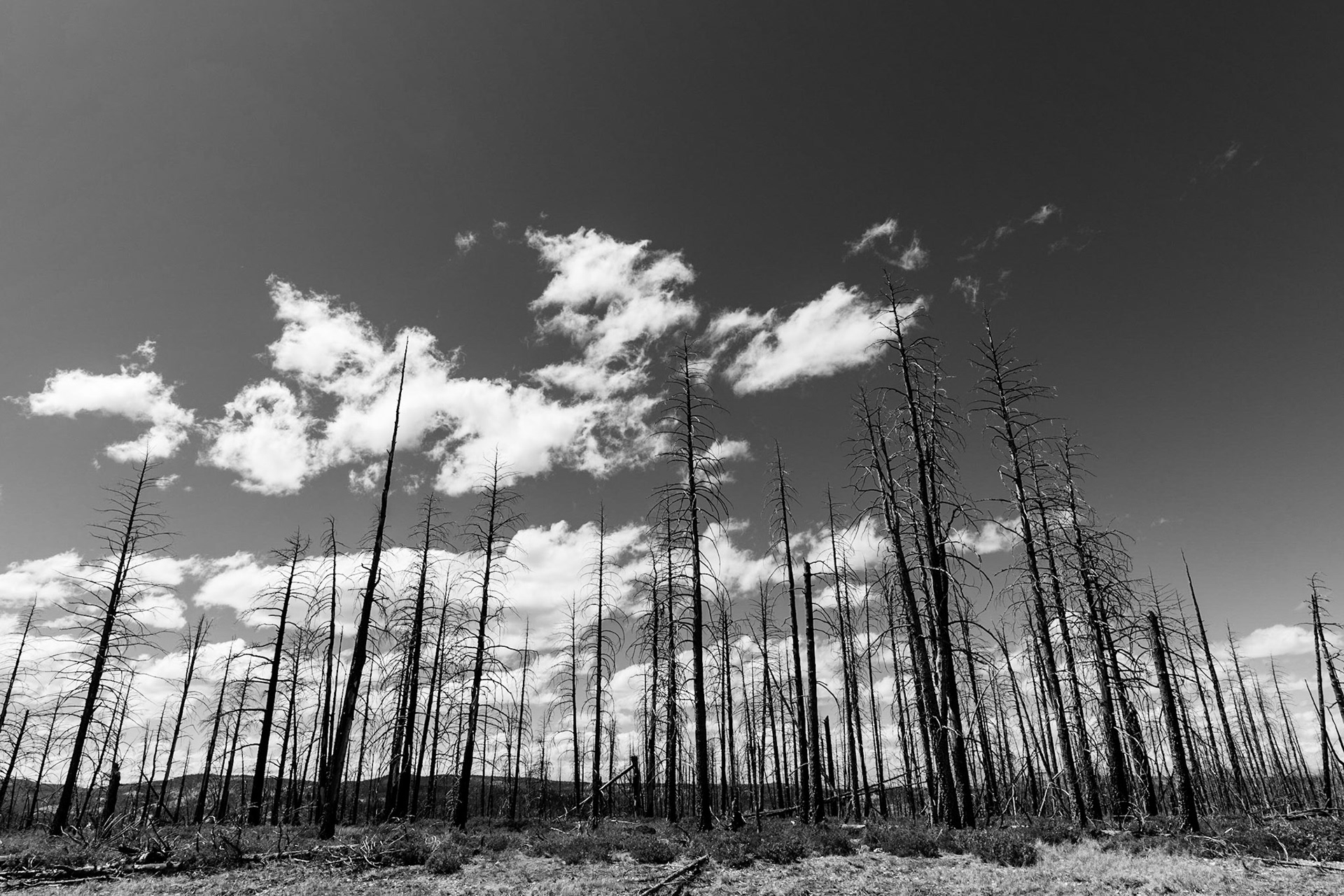 Bryce Canyon National Park