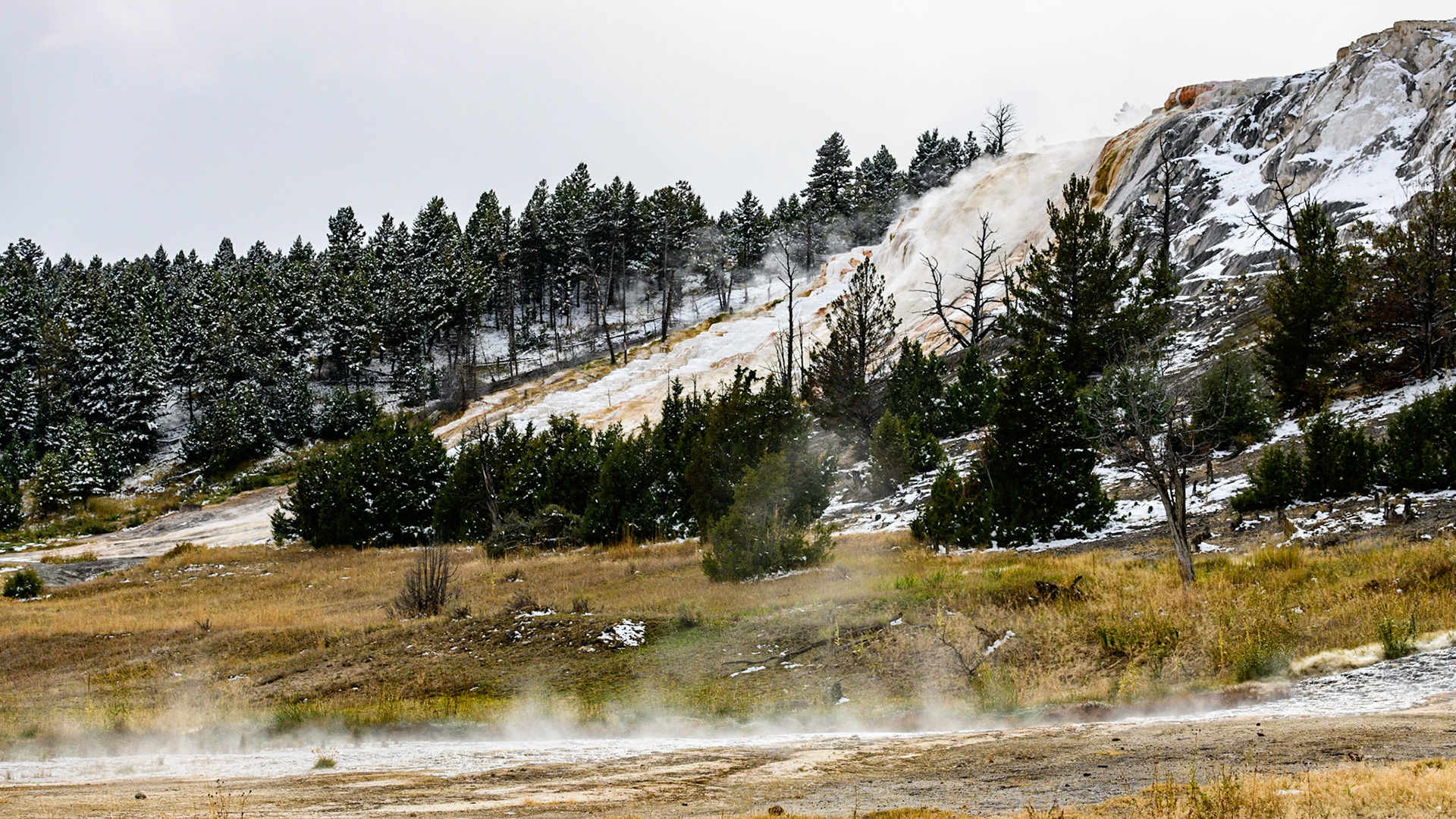 Mammoth Hot Springs