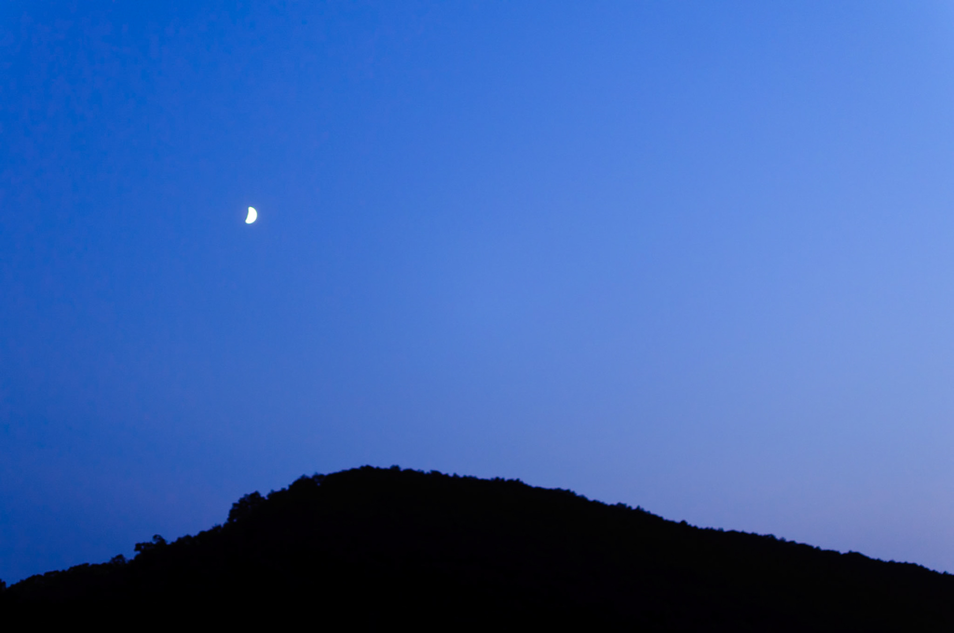 The Cow Jumped Over the Moon