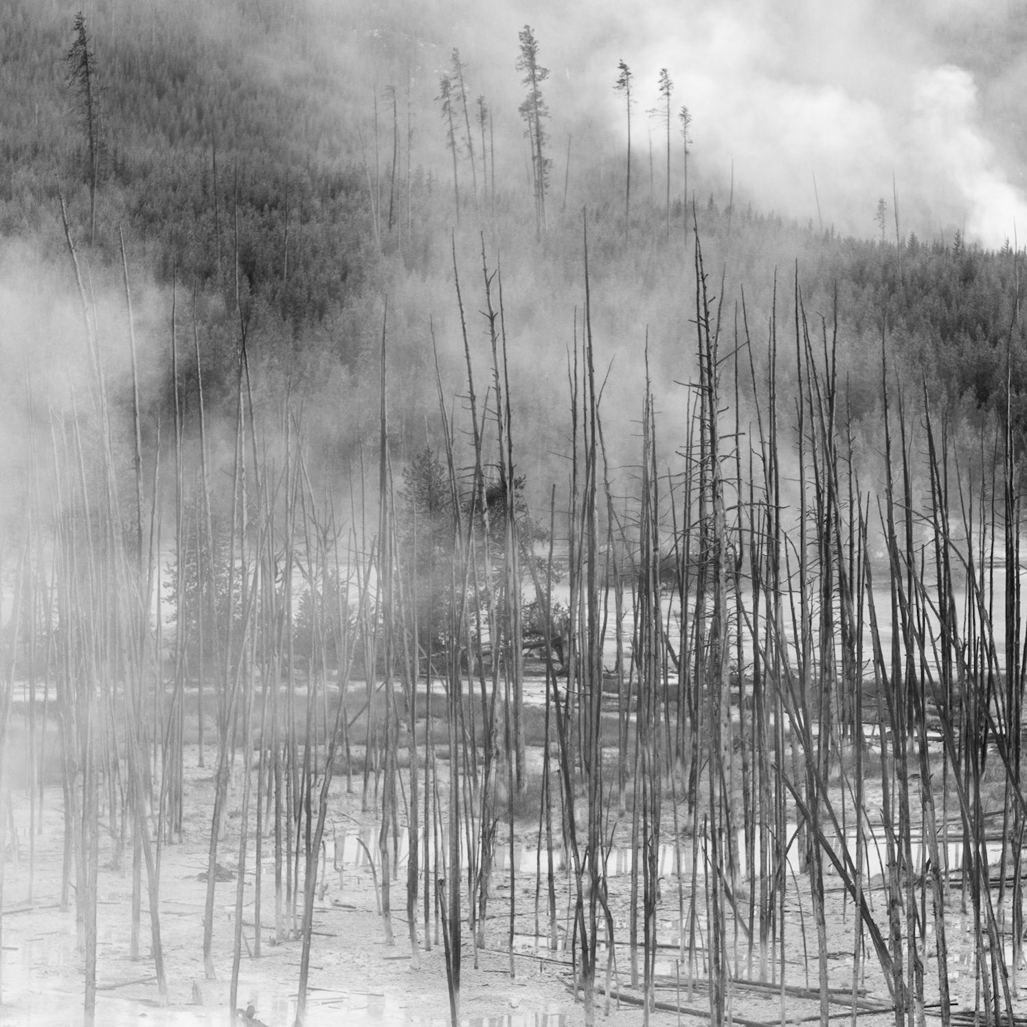 Trying to figure it out