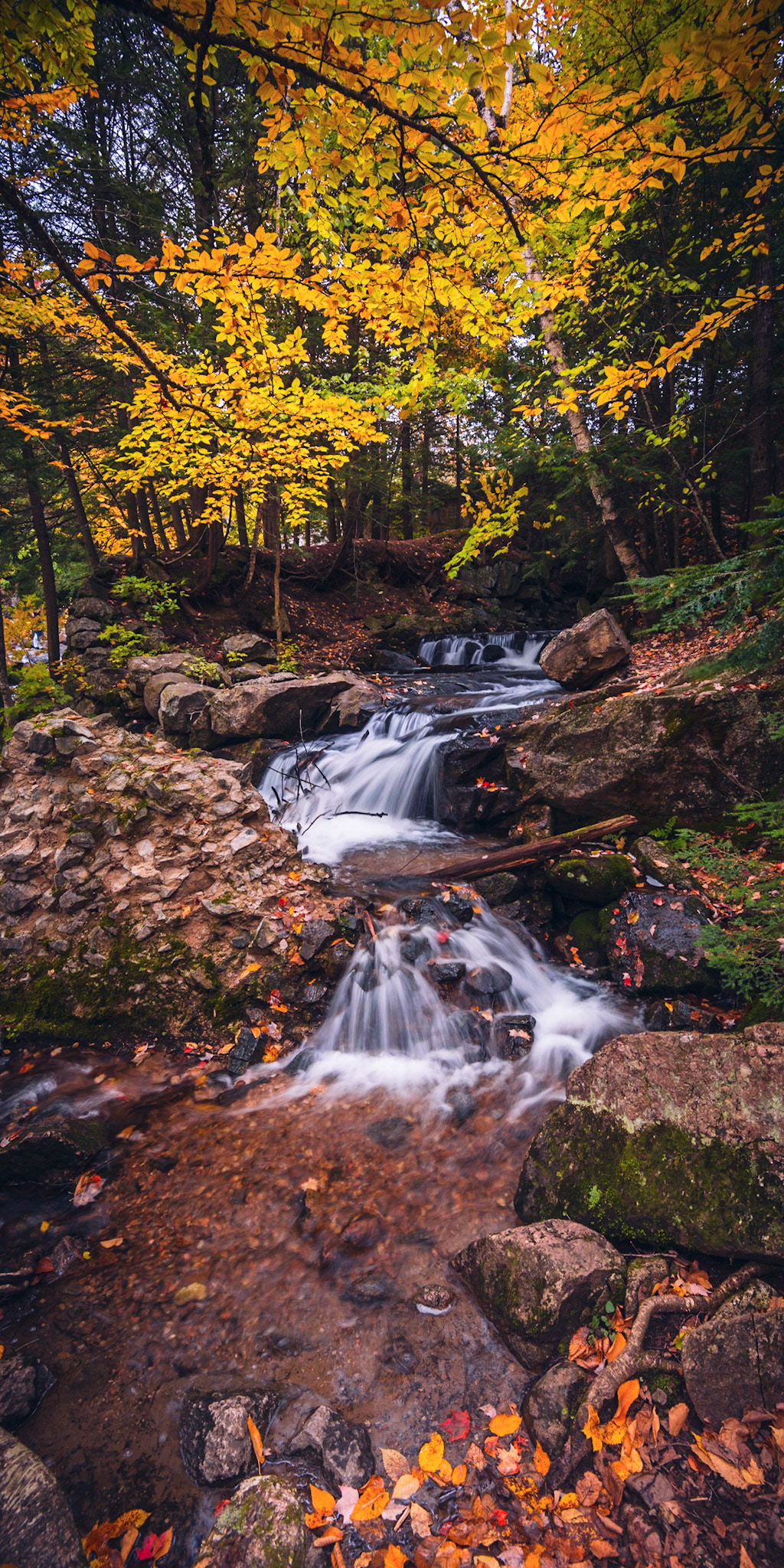 Instagram: www.instagram.com/scenesbeyondcanvas Facebook: www.facebook.com/scenesbeyondcanvas Website: www.scenesbeyondcanvas.com