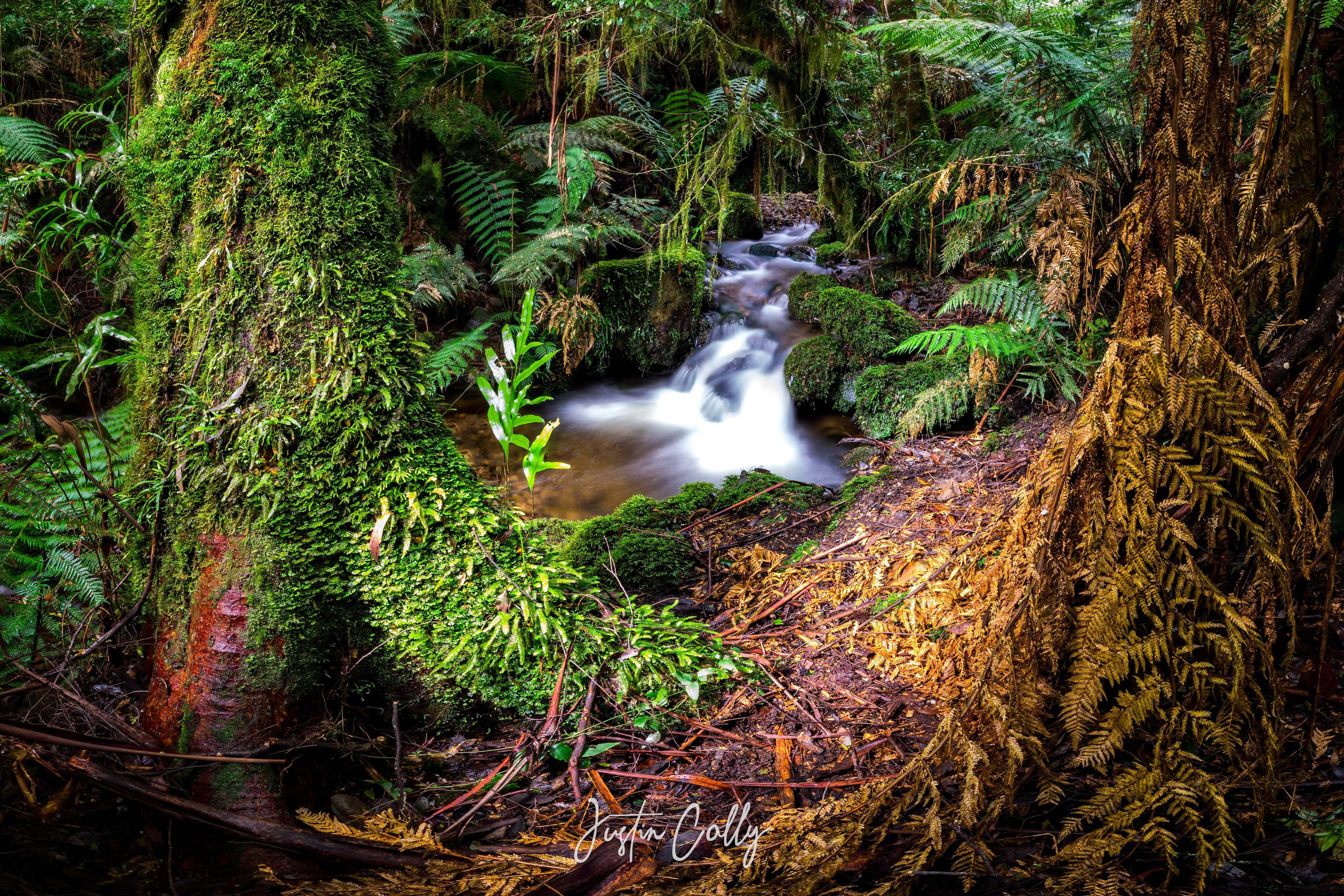 Creek in the Acheron