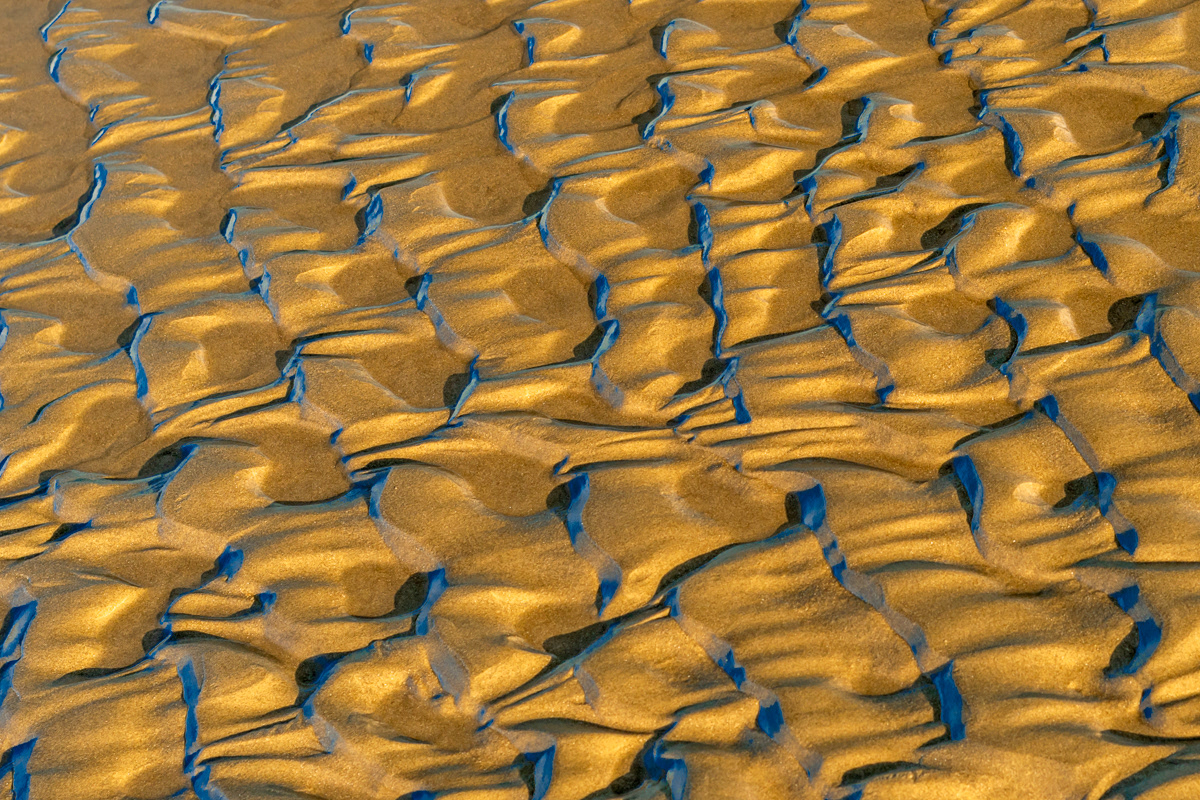 2020: Highly commended Shaped by the sea contest organized by Theo Bosboom