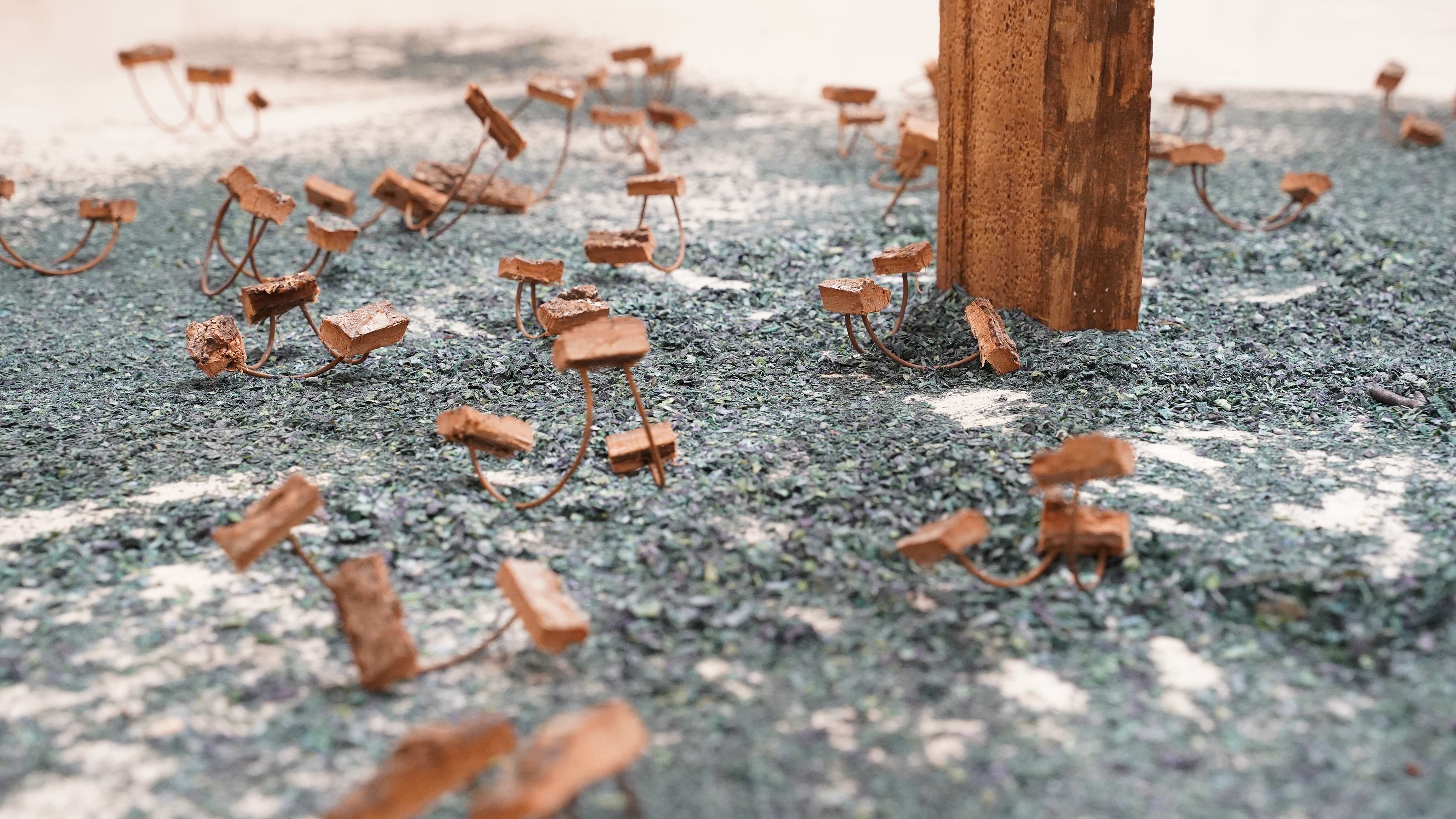 Seeds Install Shot Wood, steel, wood shavings Installation dimensions vary