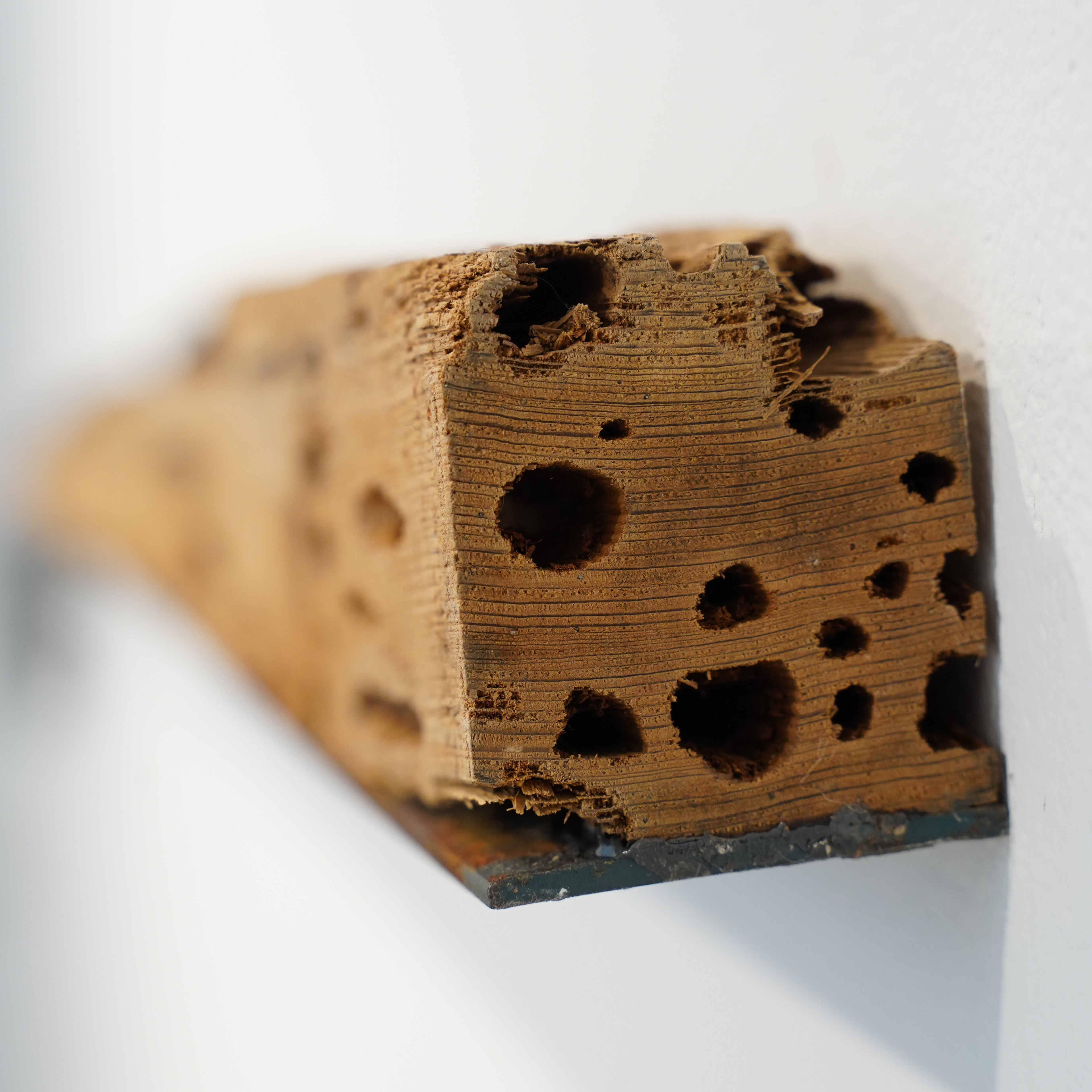 Detail Somewhere Along the Line, We Weren't the Same Wood, steel, paint, rust 58” x 3.5” x 2.4”