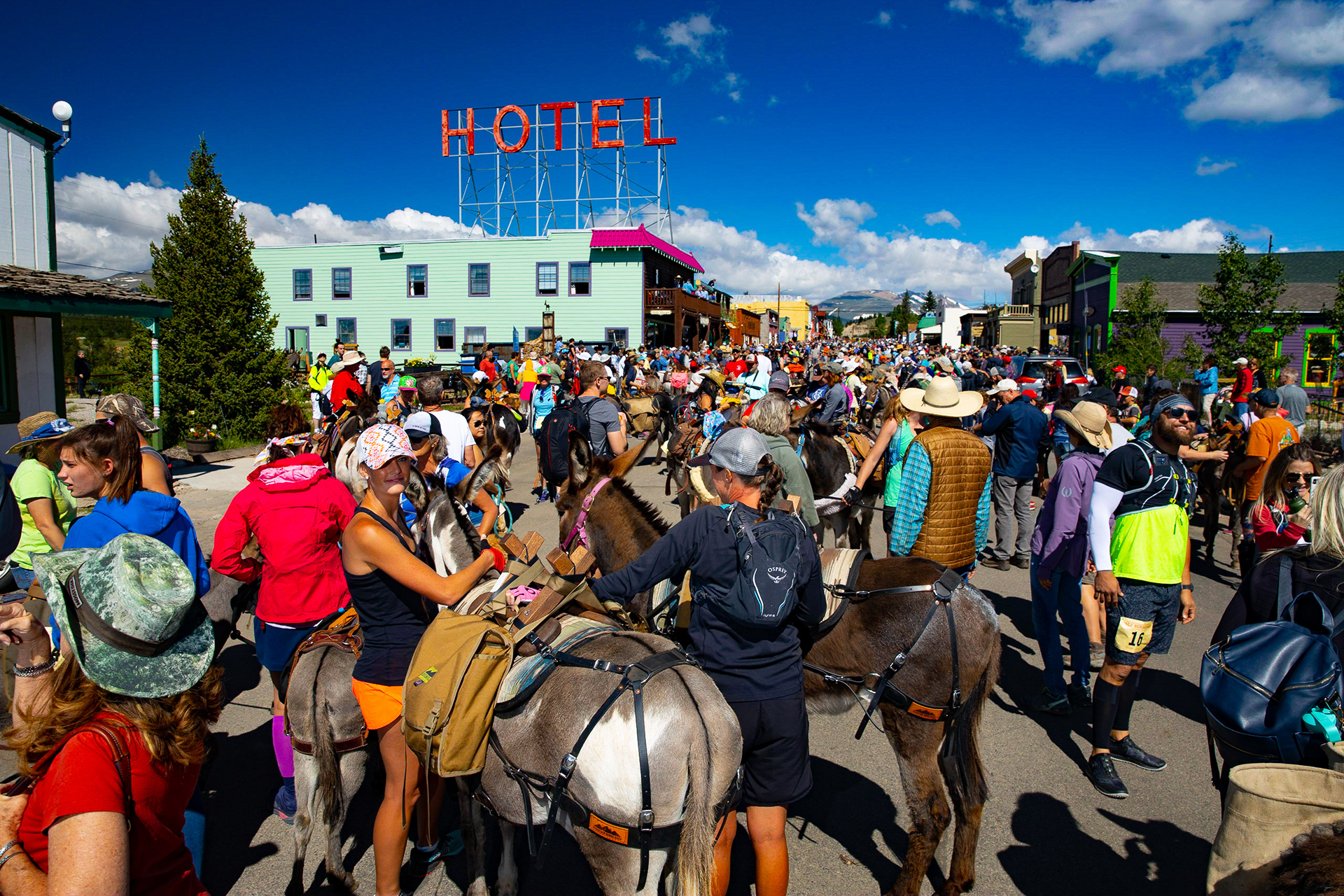 420 Photography Burro Days Fairplay