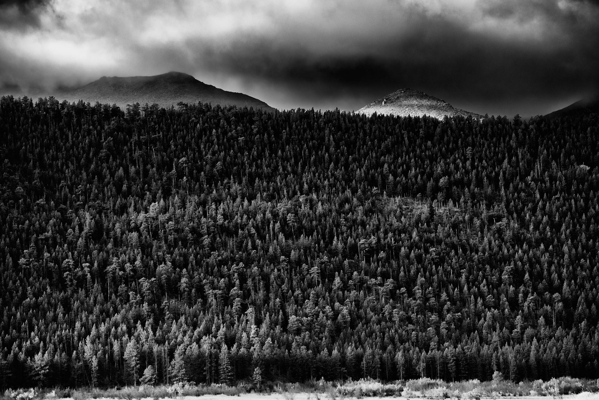 RMNP