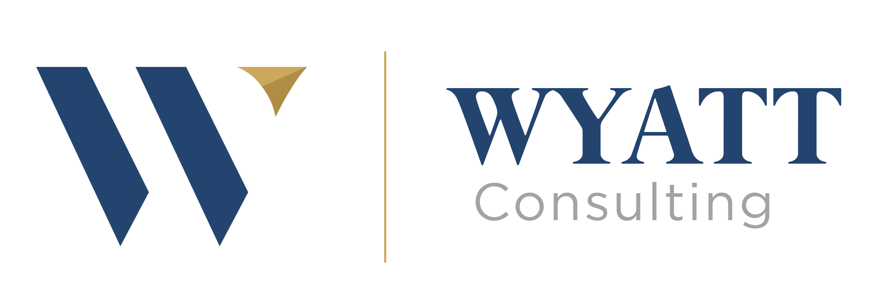 Brian K. Wyatt Jr.'s Portfolio