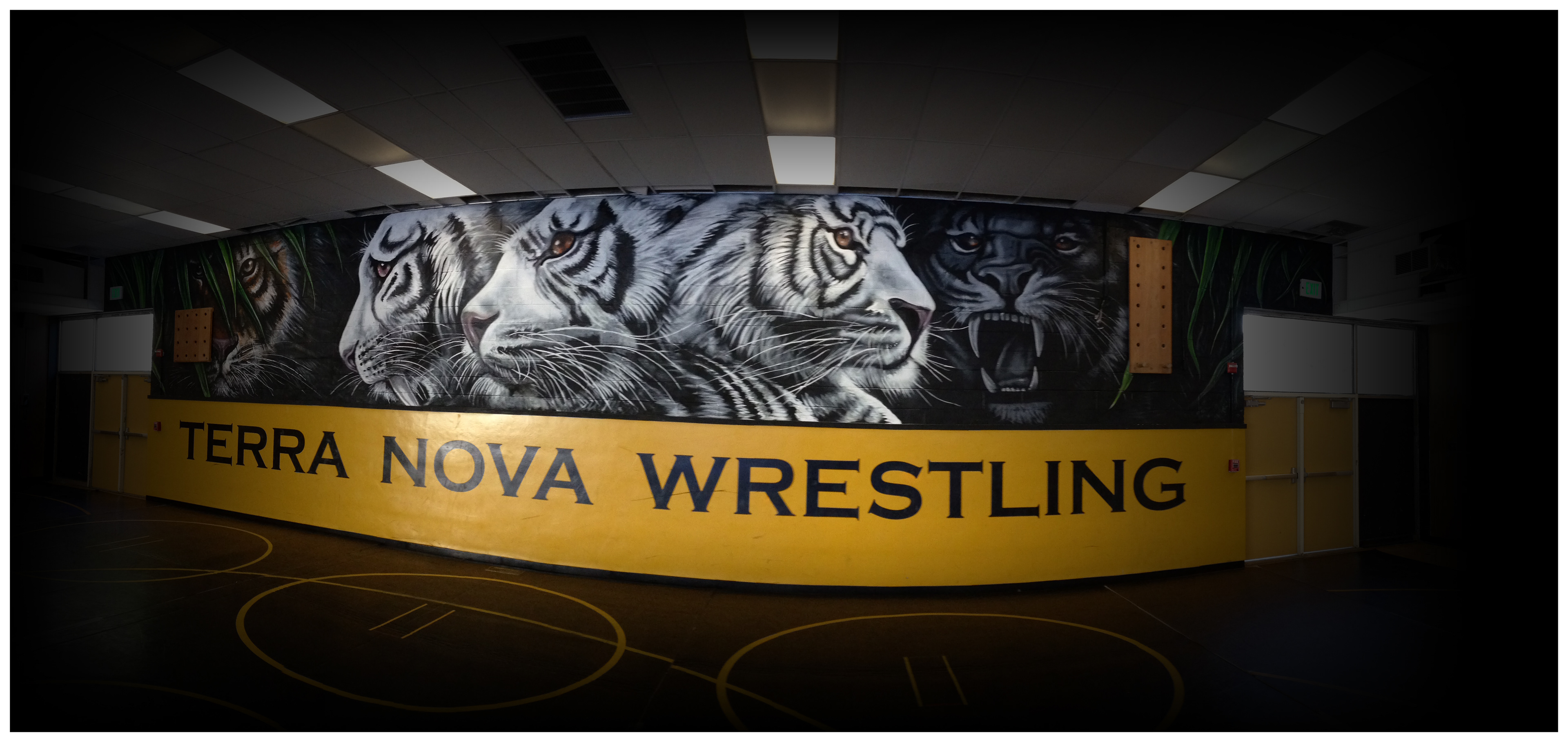 Bogdanov Creative - Terra Nova High School