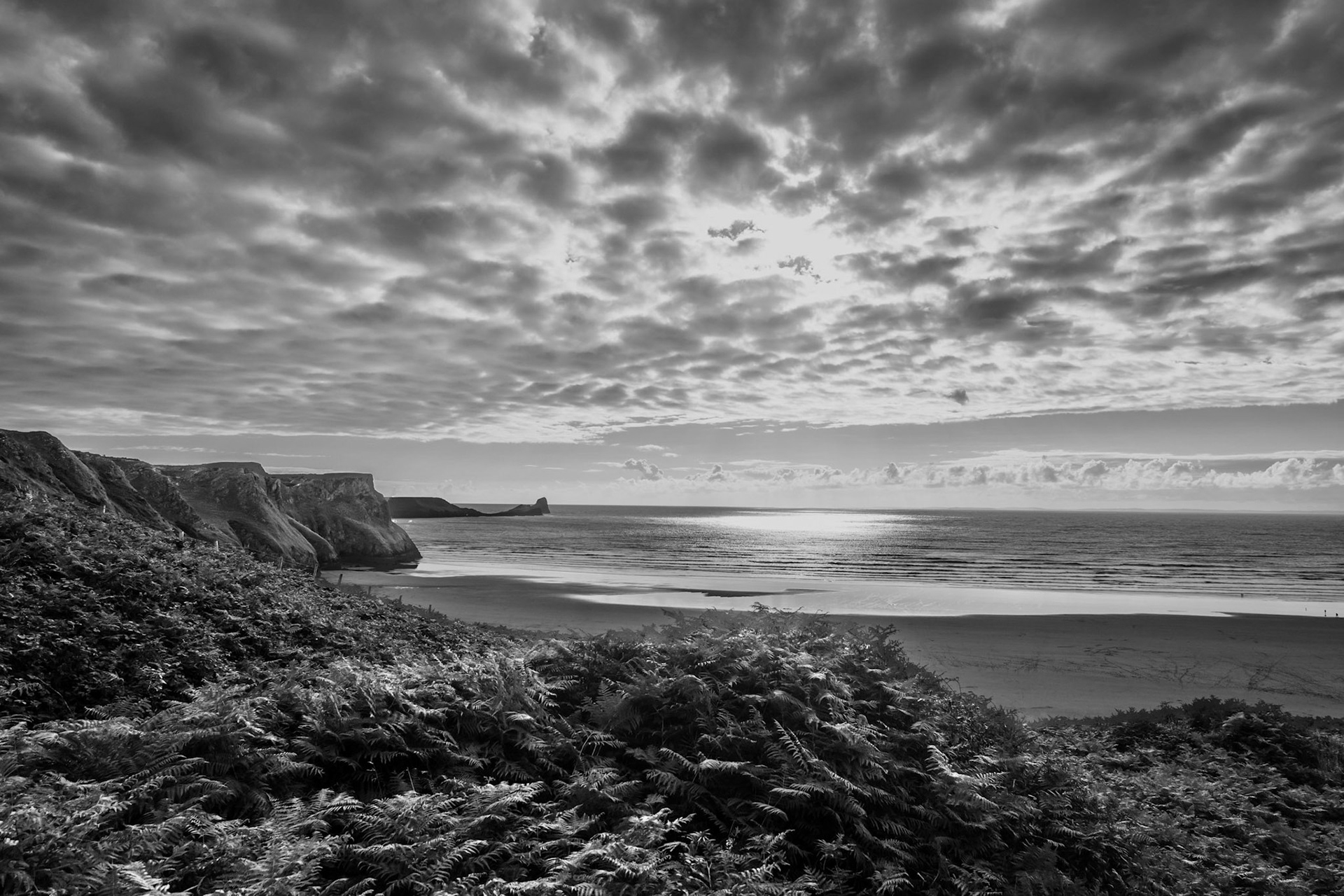 The Gower