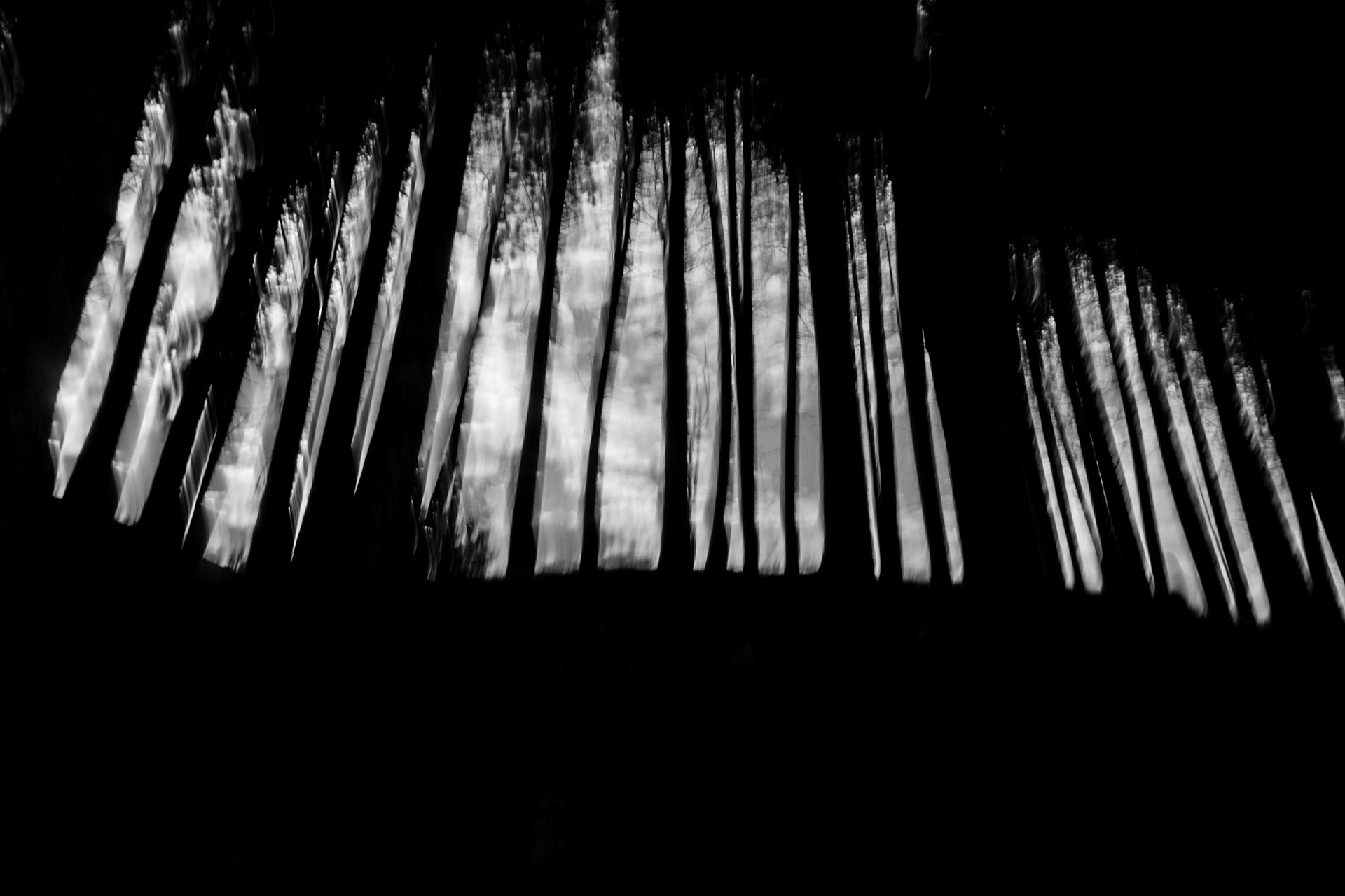 Trees