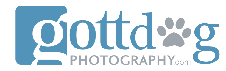 Gott Dog Photography 