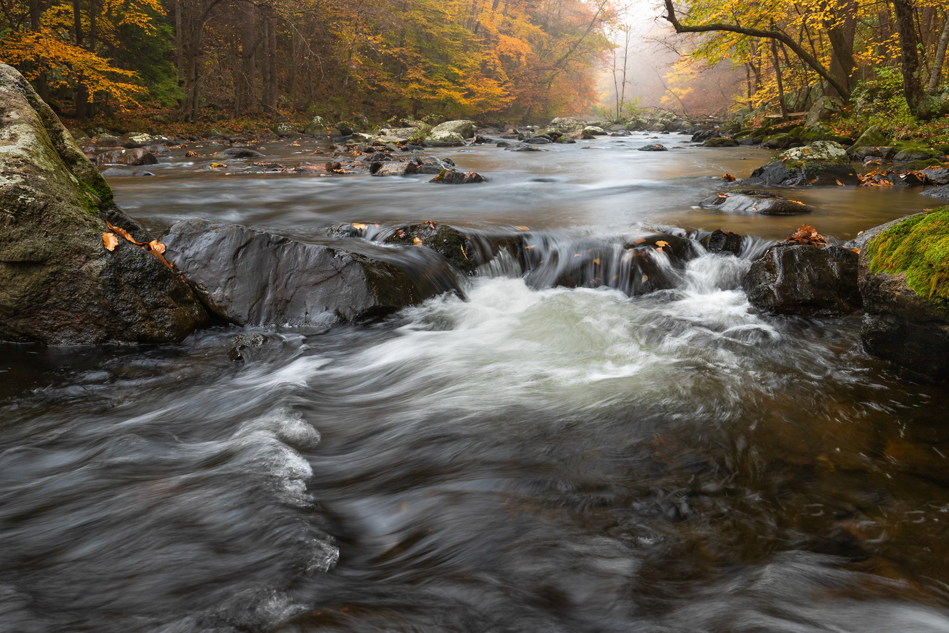 Foggy Morning at Ken Lockwood Gorge - near Highbridge, New Jersey