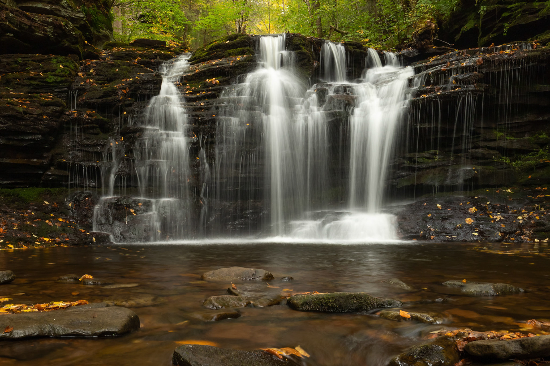 Wyandot Falls - Ricketts Glen State Park, Pennsylvania