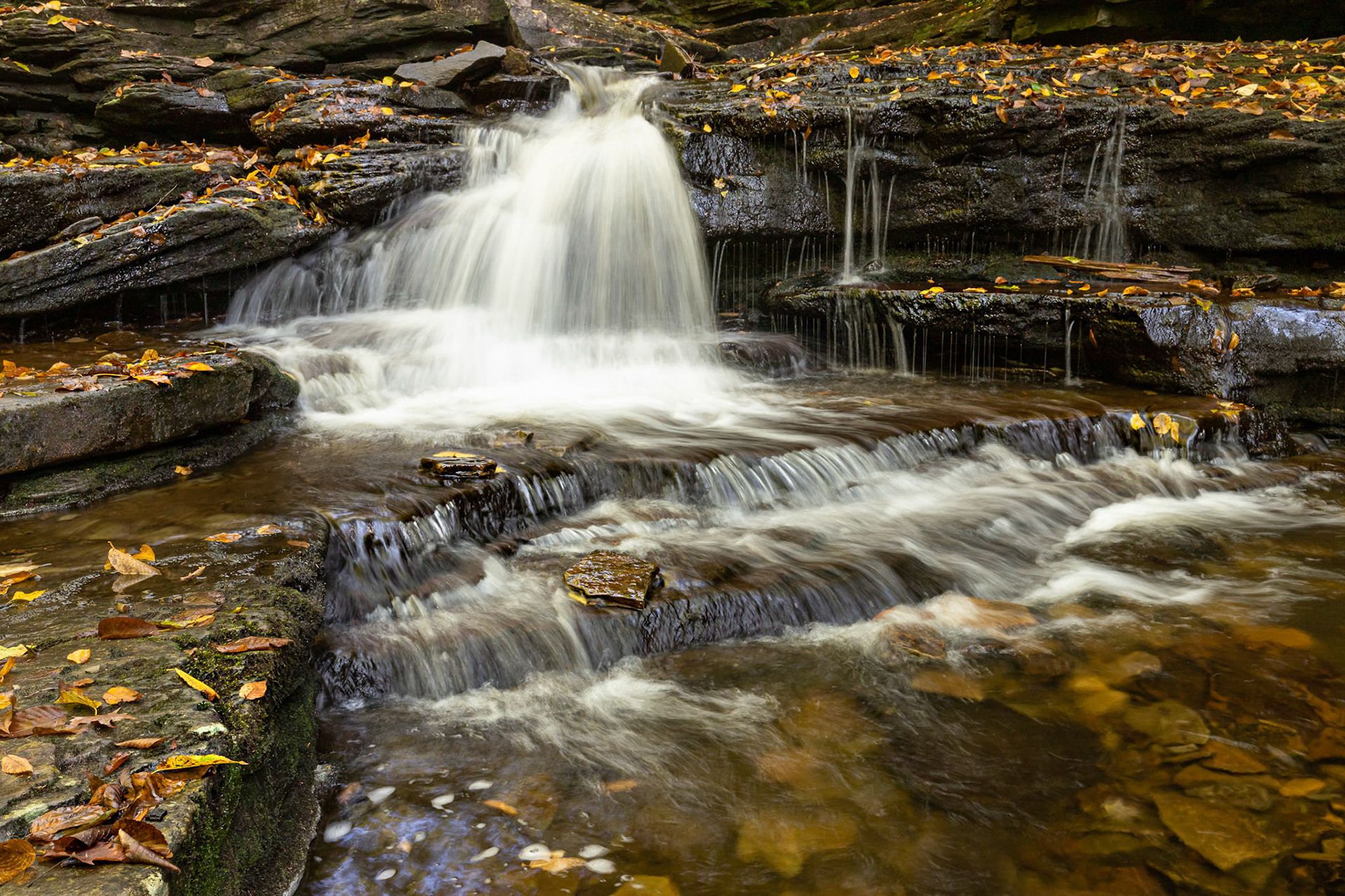 On Kitchen Creek - Ricketts Glen State Park, Pennsylvania