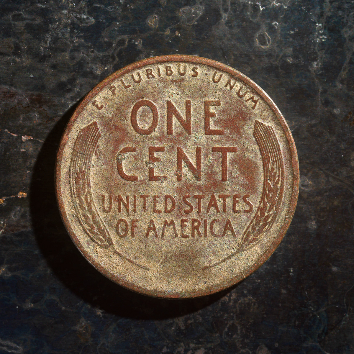 Messed Up Money Fine Art Coin Photography Penny Tails 1929 1958