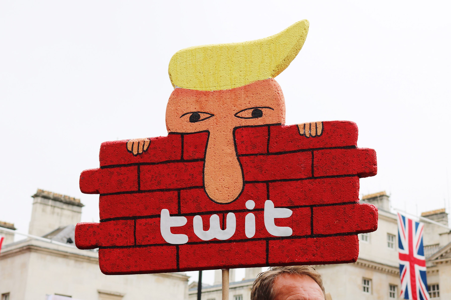 the Trump Protest, June 2019